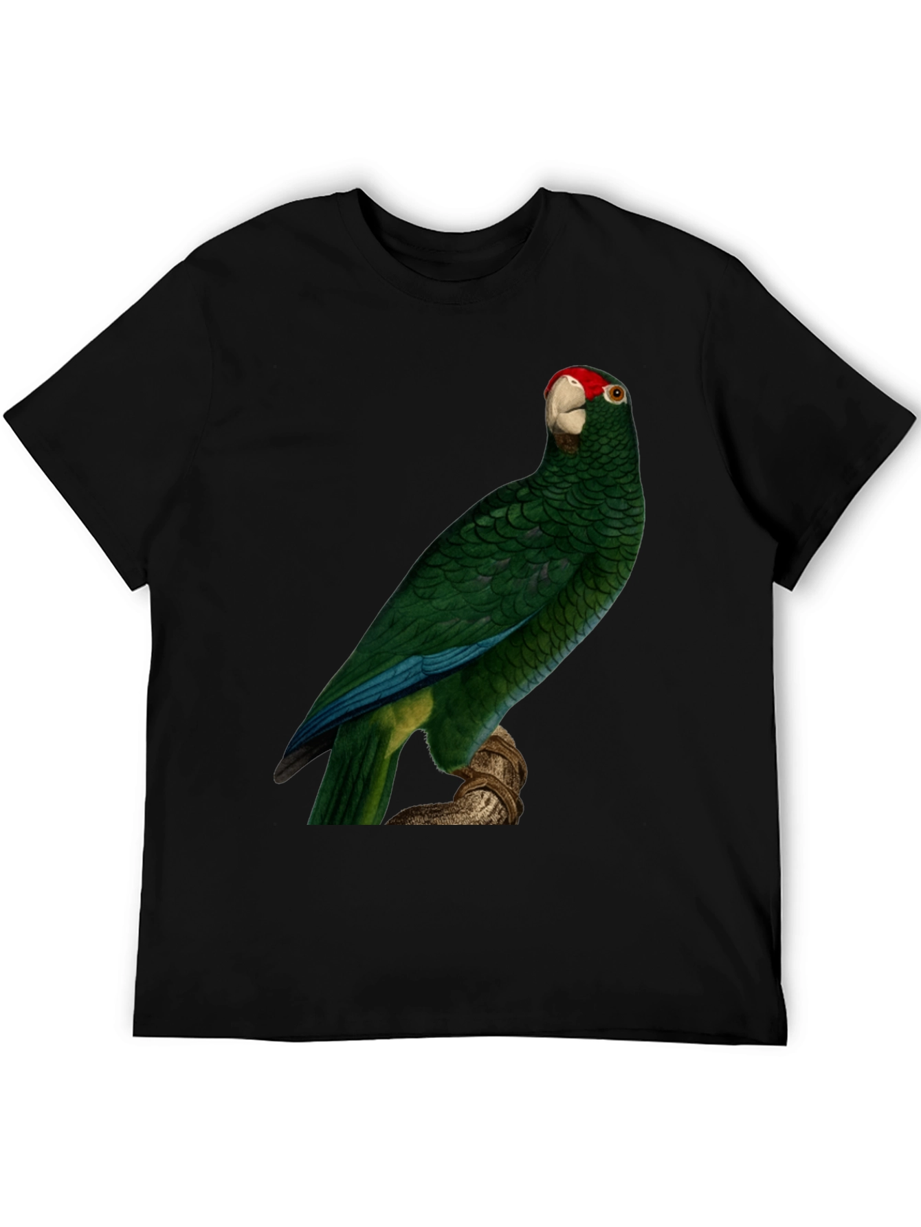 Green Parrot Print T-Shirt