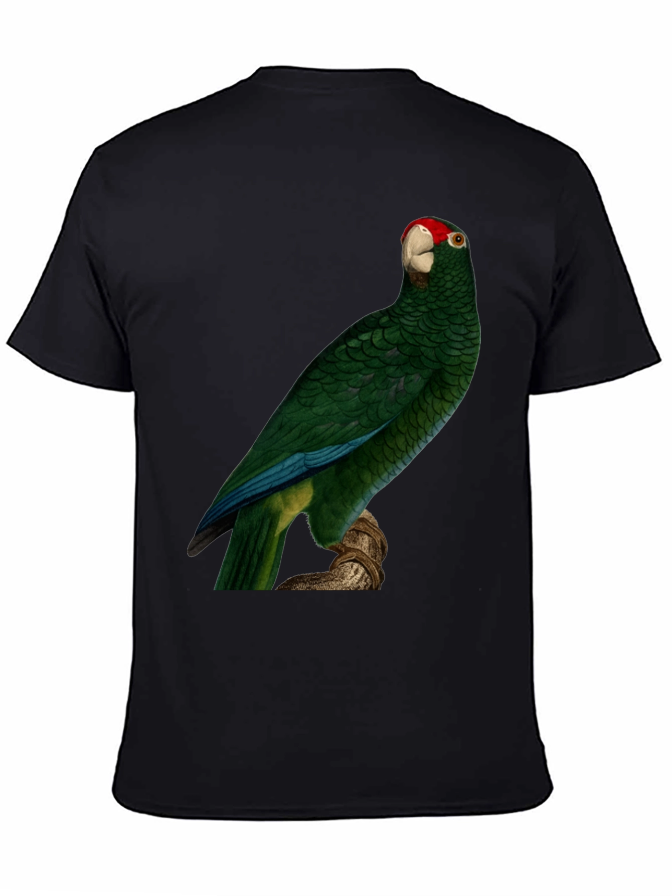 Green Parrot Print T-Shirt