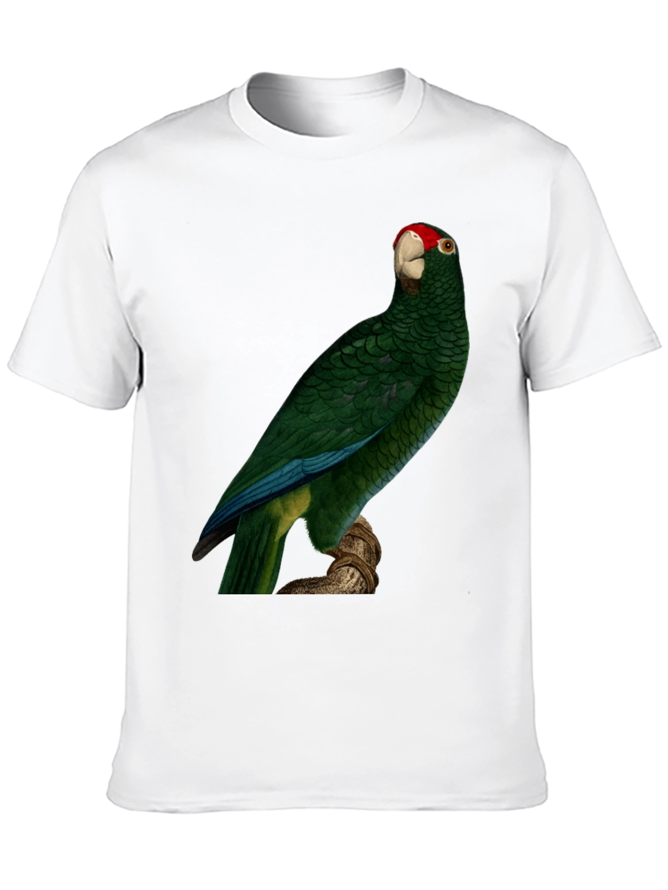 Green Parrot Print T-Shirt