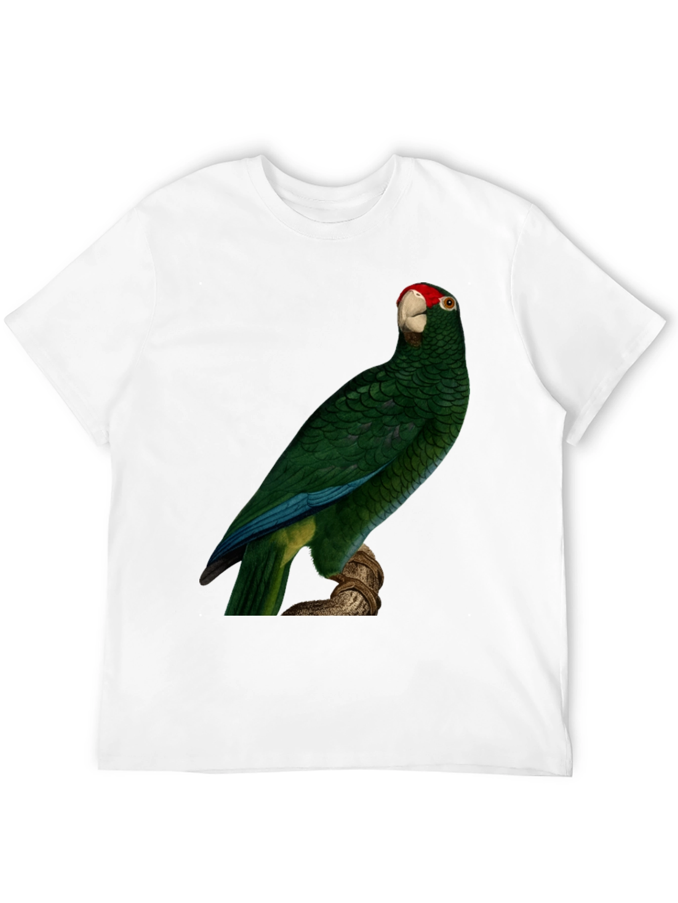 Green Parrot Print T-Shirt