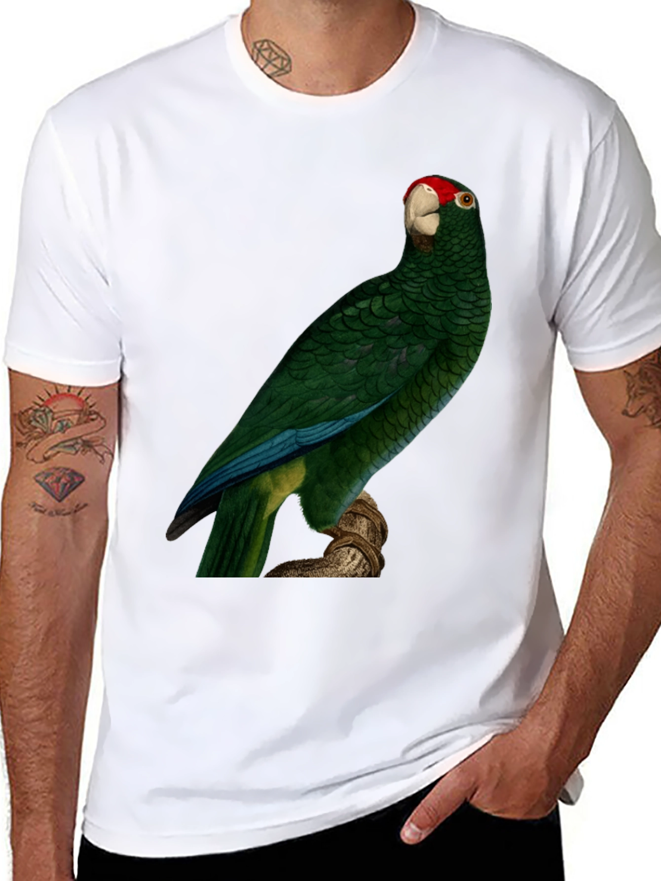 Green Parrot Print T-Shirt