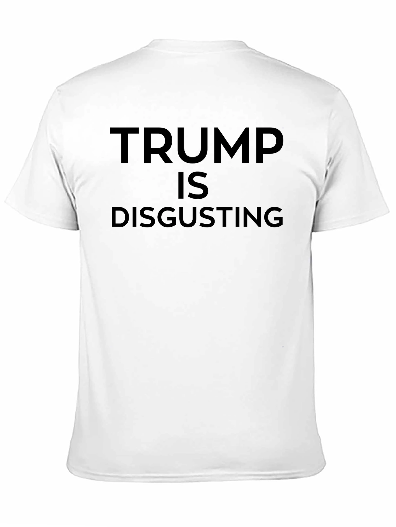 Political Statement Tee: Trump Is Disgusting