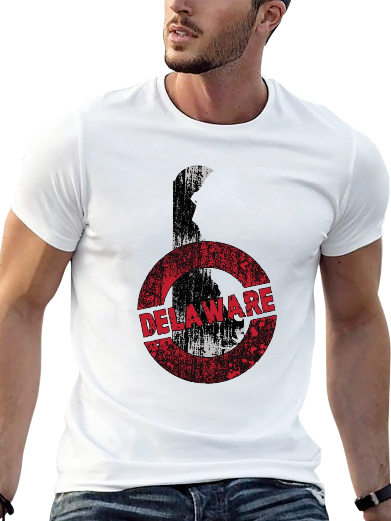 Delaware State Pride Graphic T-Shirt
