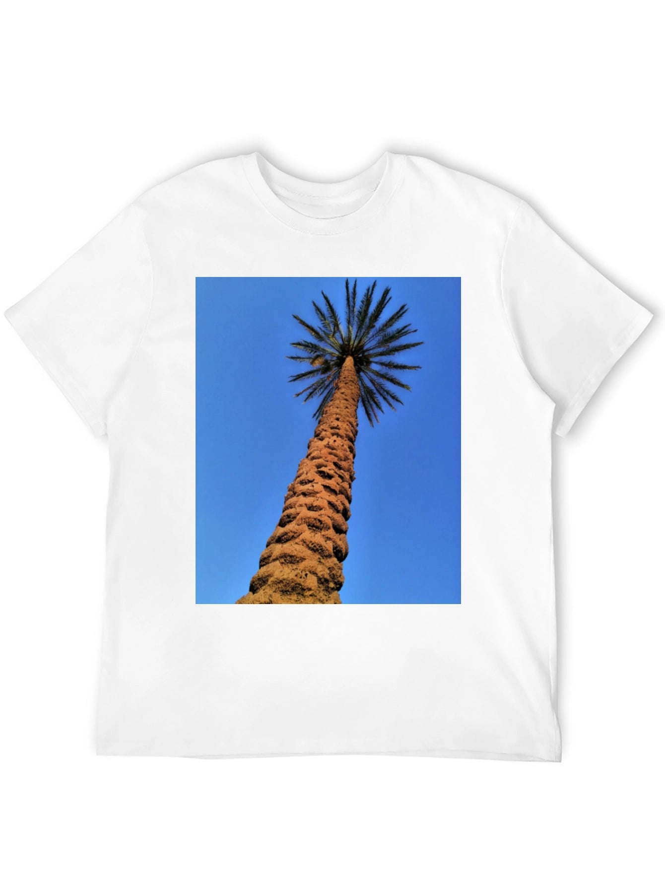 Palm Tree Graphic Black T-Shirt