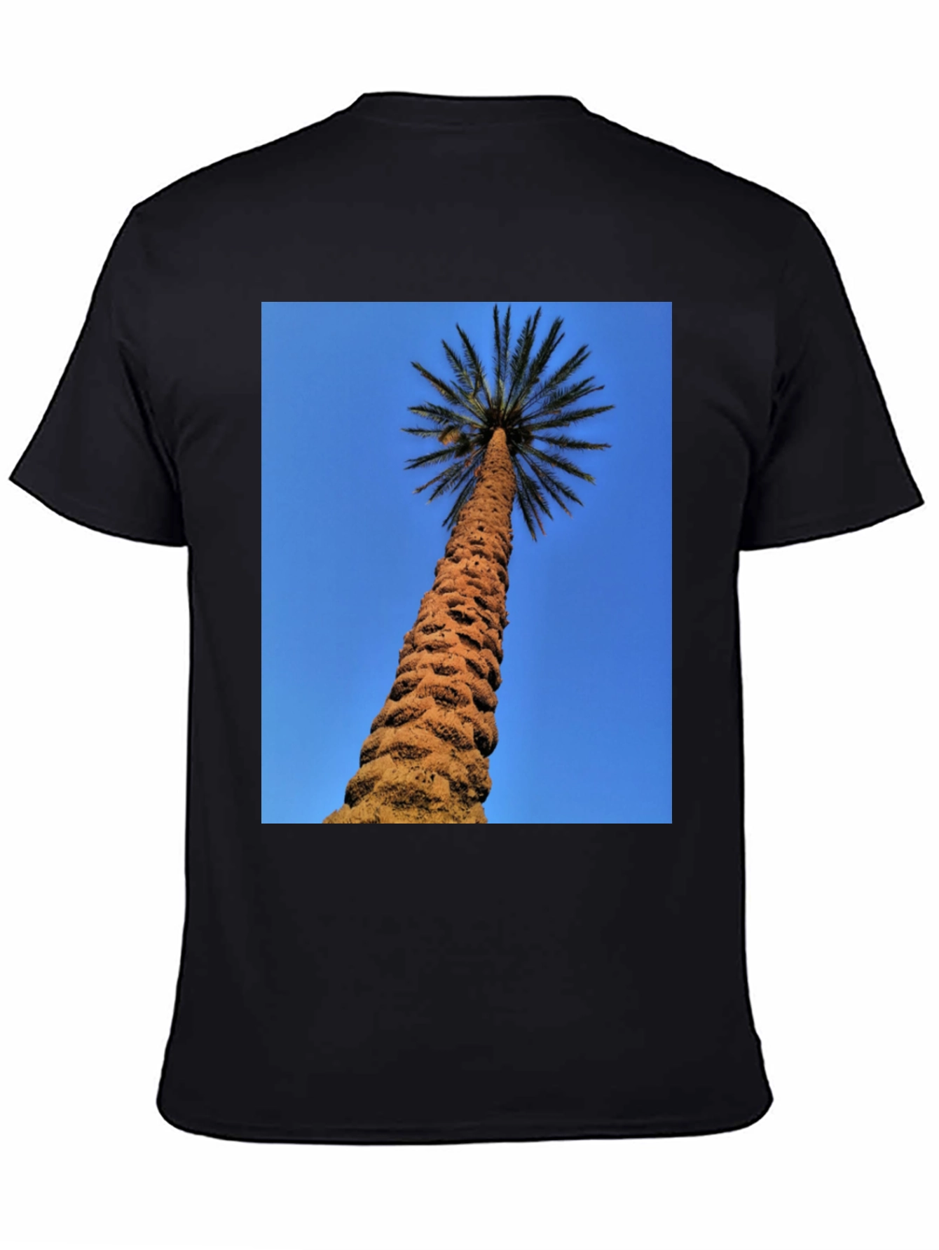 Palm Tree Graphic Black T-Shirt