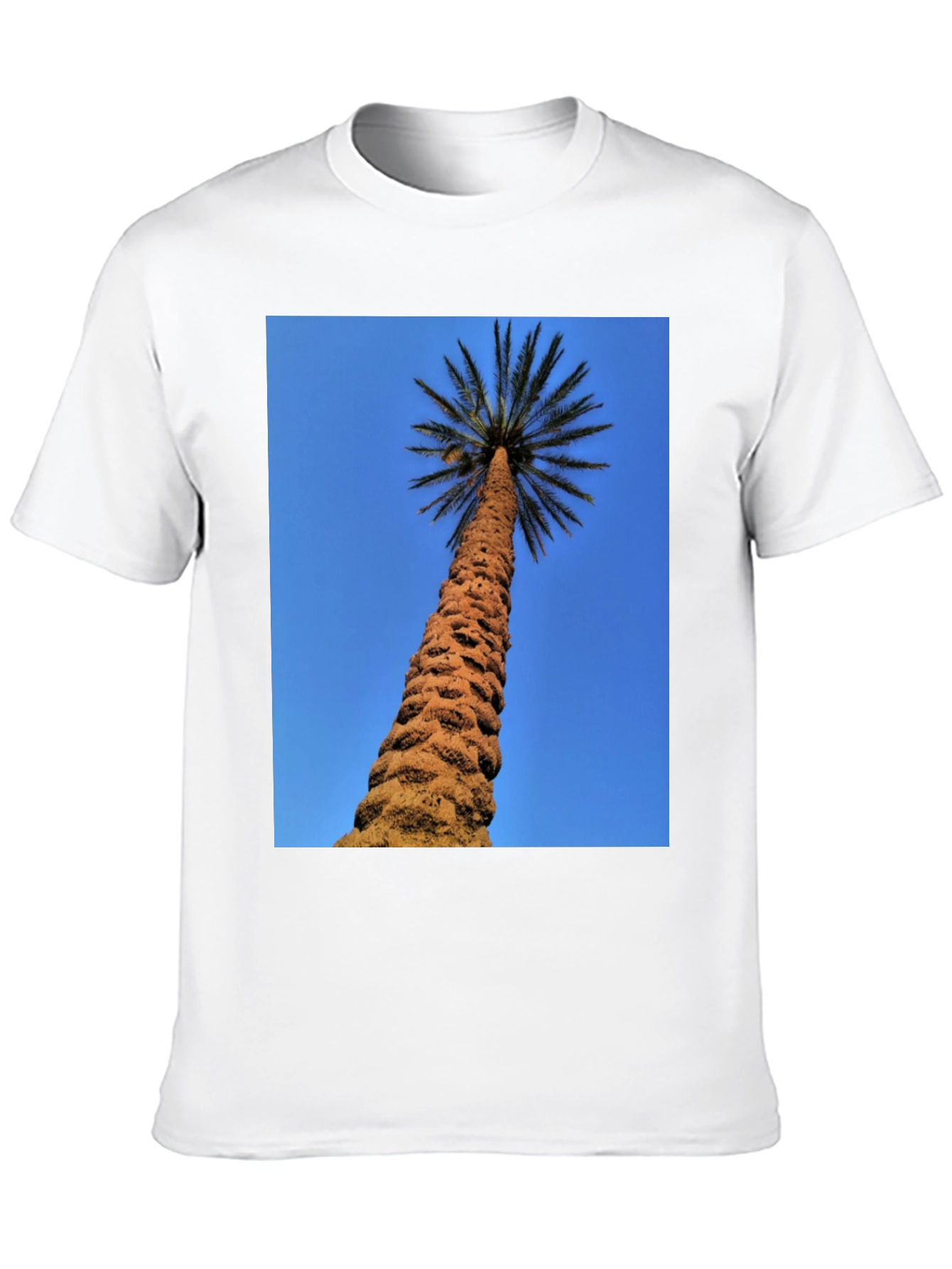 Palm Tree Graphic Black T-Shirt