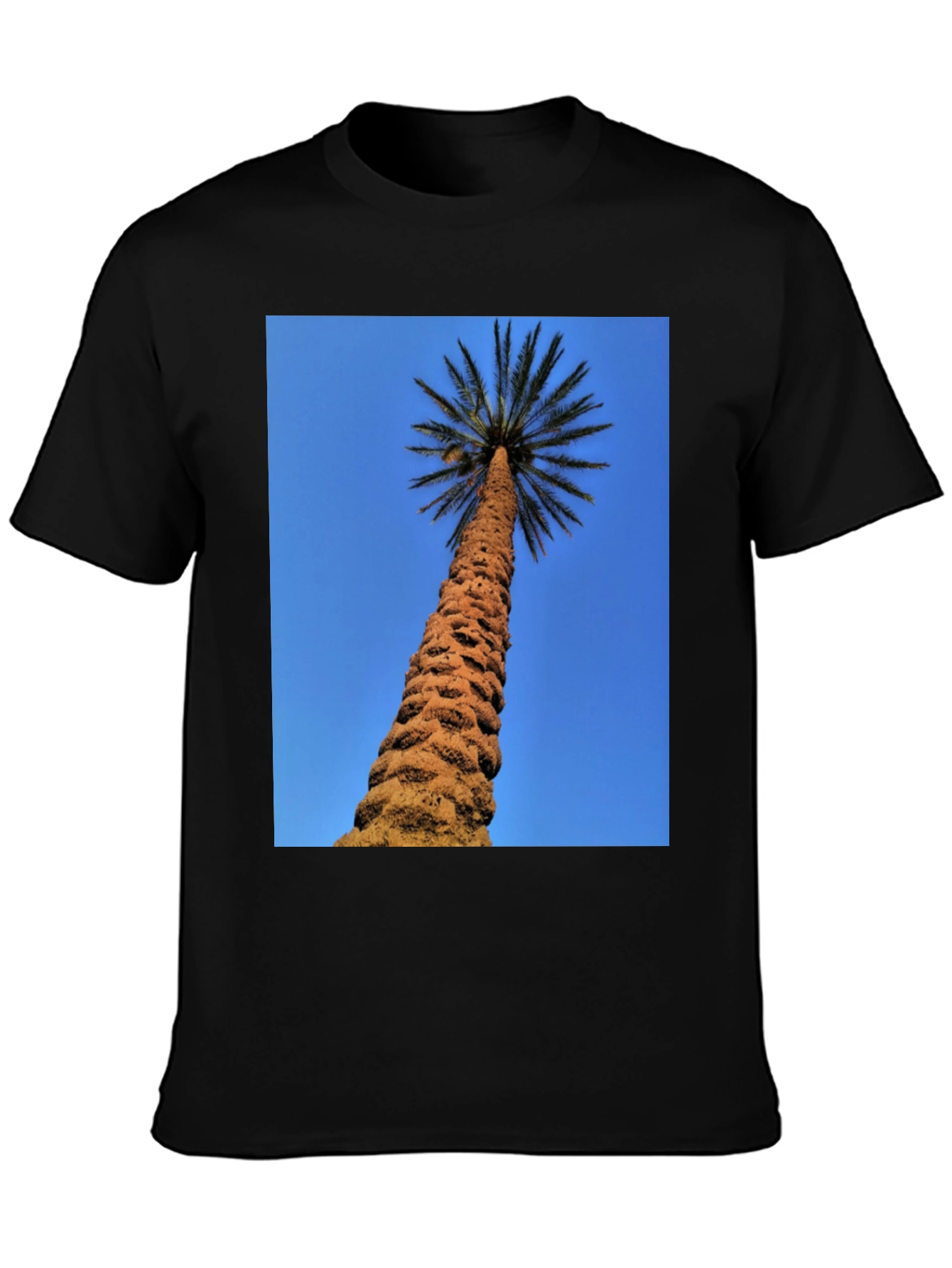 Palm Tree Graphic Black T-Shirt