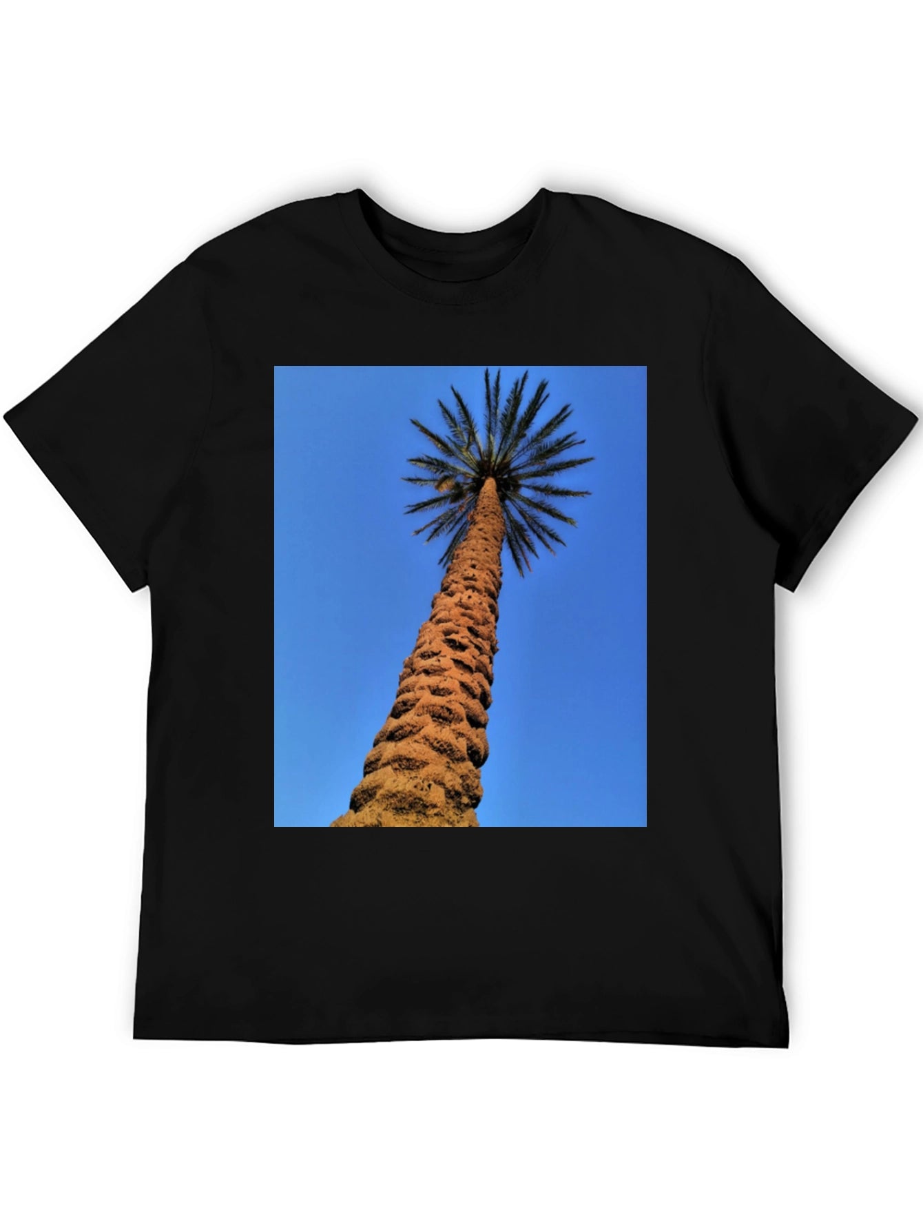 Palm Tree Graphic Black T-Shirt