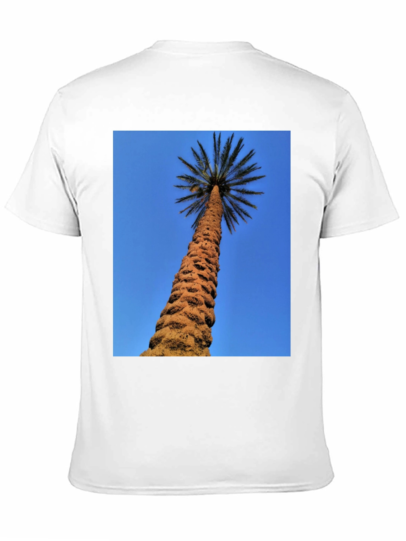 Palm Tree Graphic Black T-Shirt