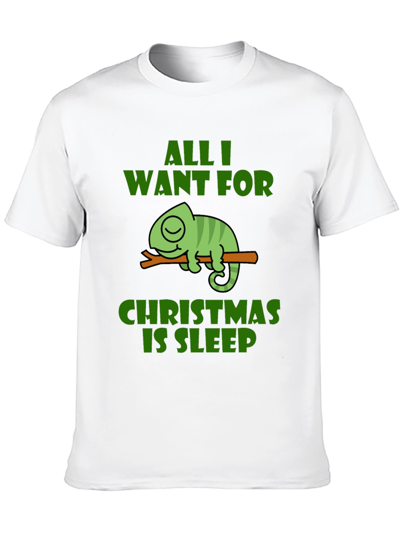 All I Want For Christmas Sleep T-Shirt
