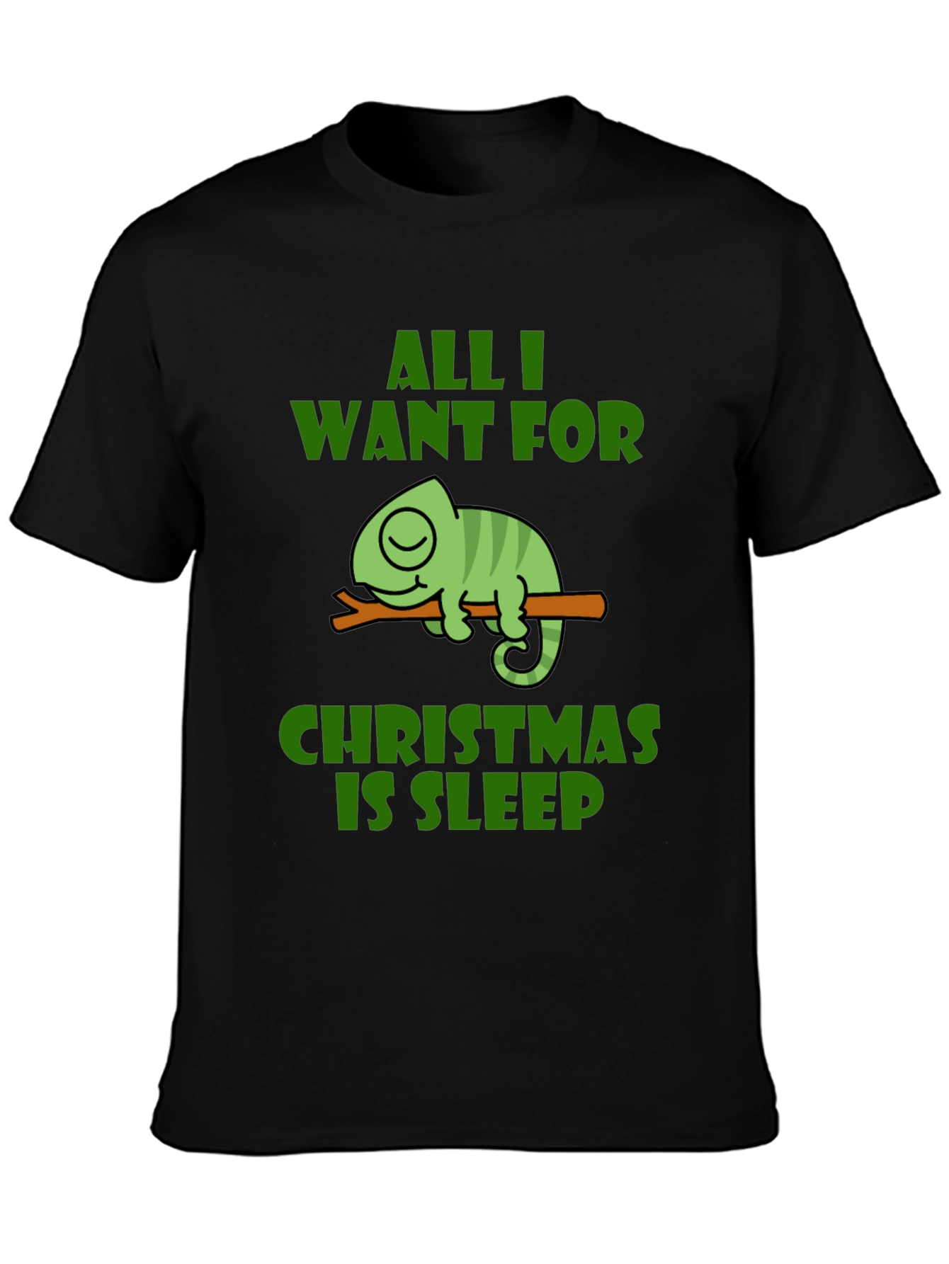 All I Want For Christmas Sleep T-Shirt