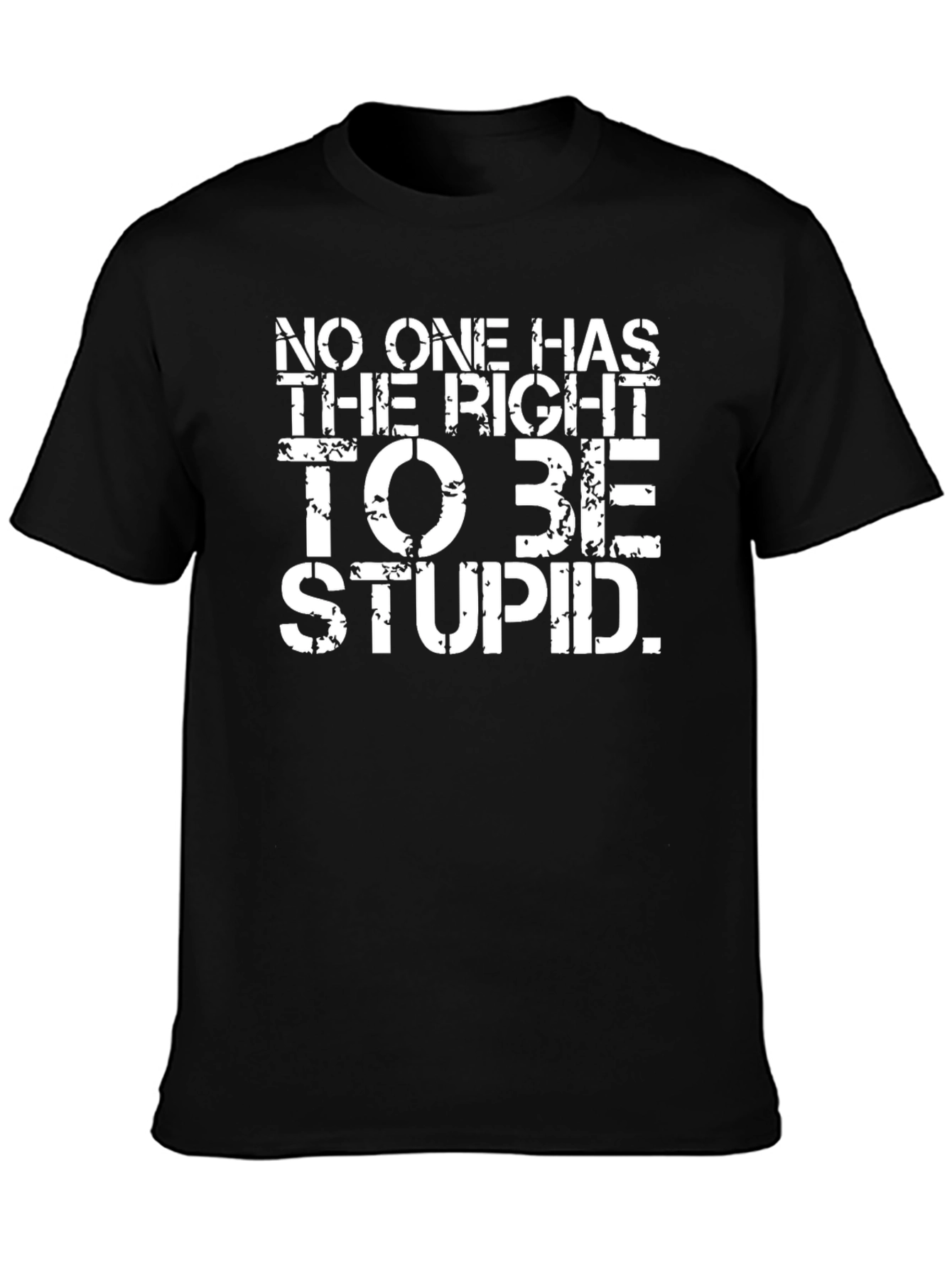 No One Has The Right To Be Stupid T-Shirt