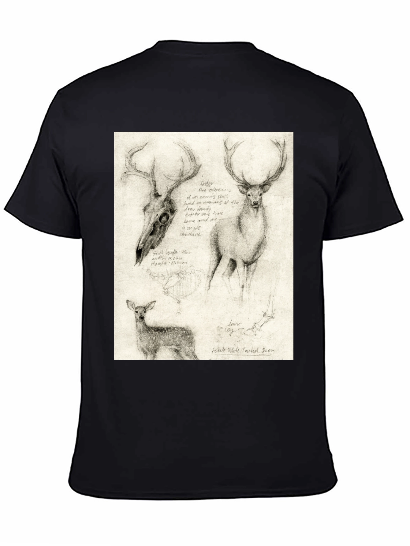 Deer Sketch T-Shirt | Wildlife Illustration Tee