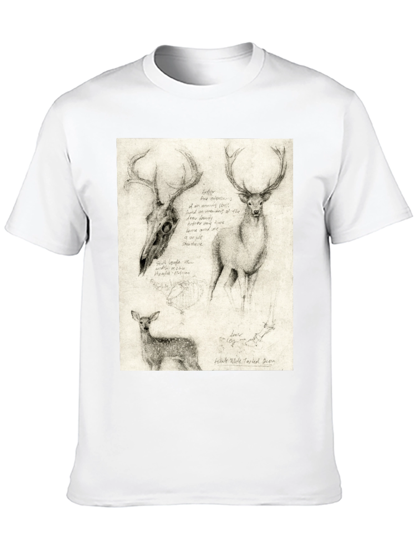 Deer Sketch T-Shirt | Wildlife Illustration Tee