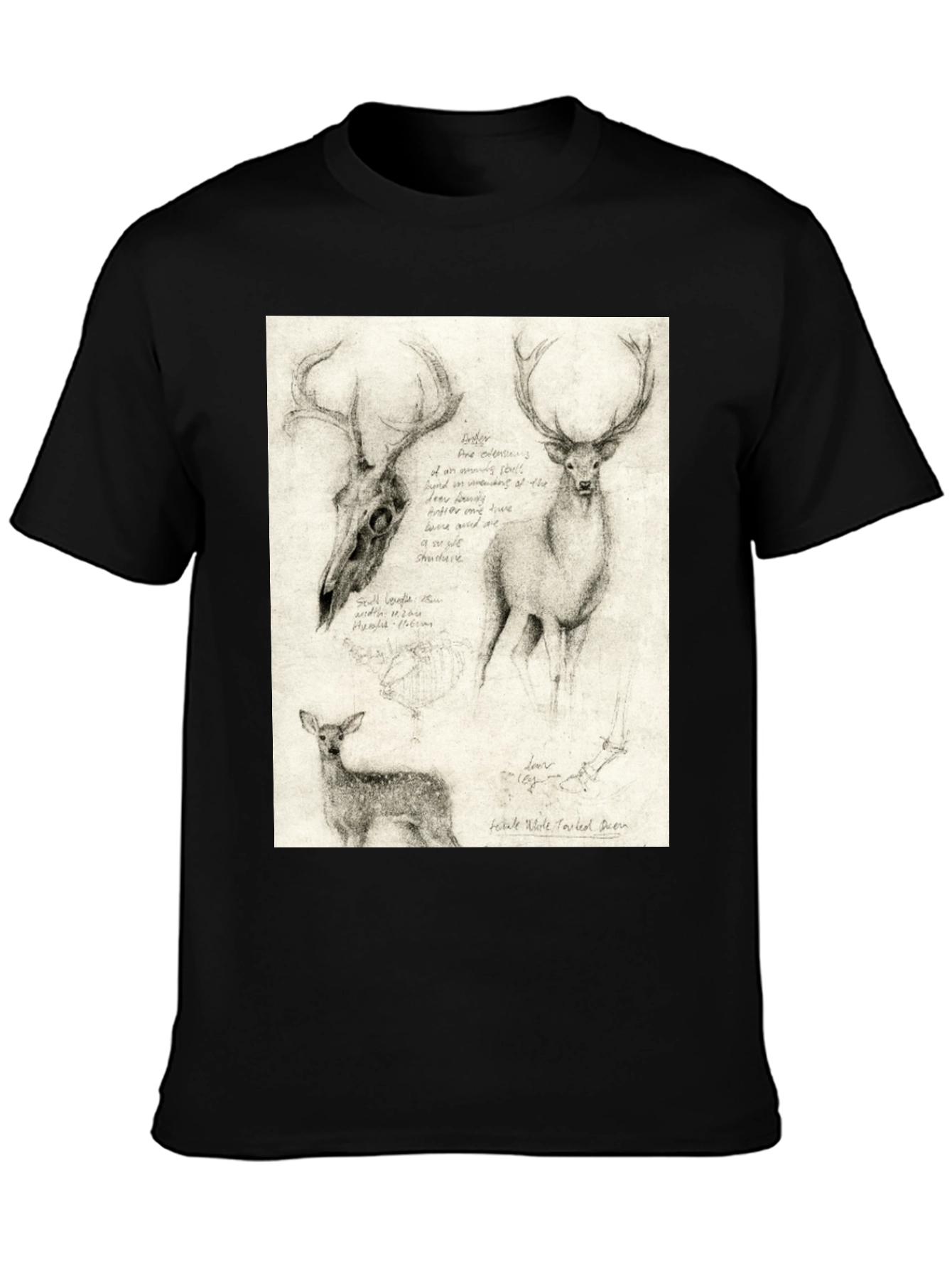 Deer Sketch T-Shirt | Wildlife Illustration Tee