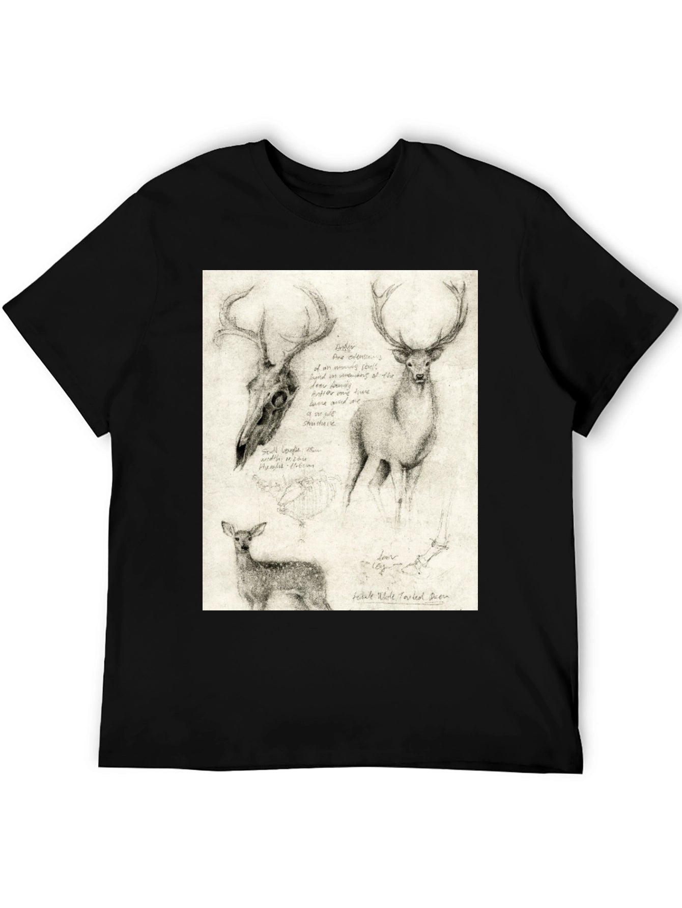 Deer Sketch T-Shirt | Wildlife Illustration Tee