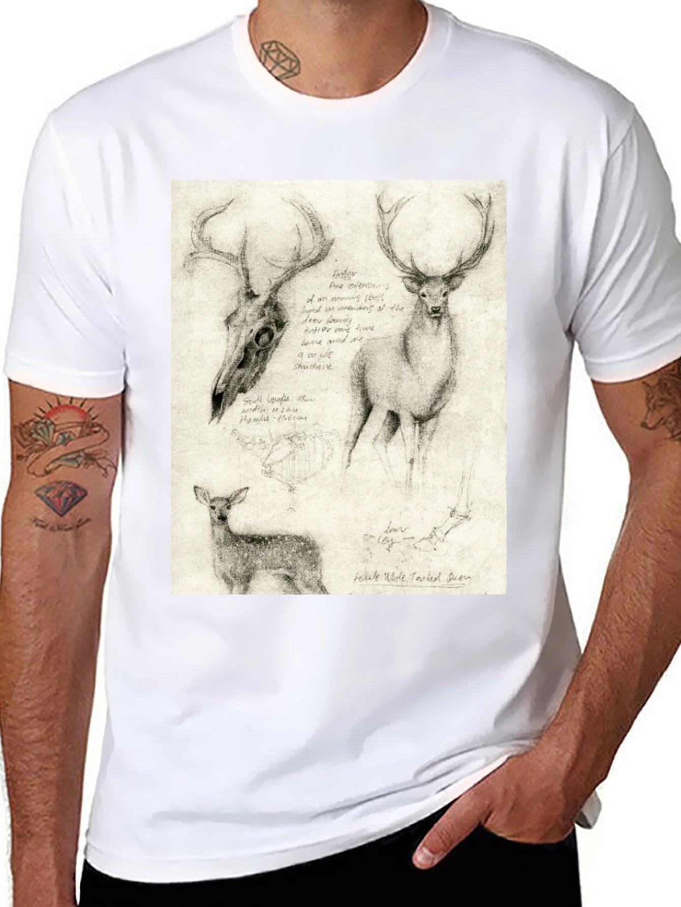 Deer Sketch T-Shirt | Wildlife Illustration Tee