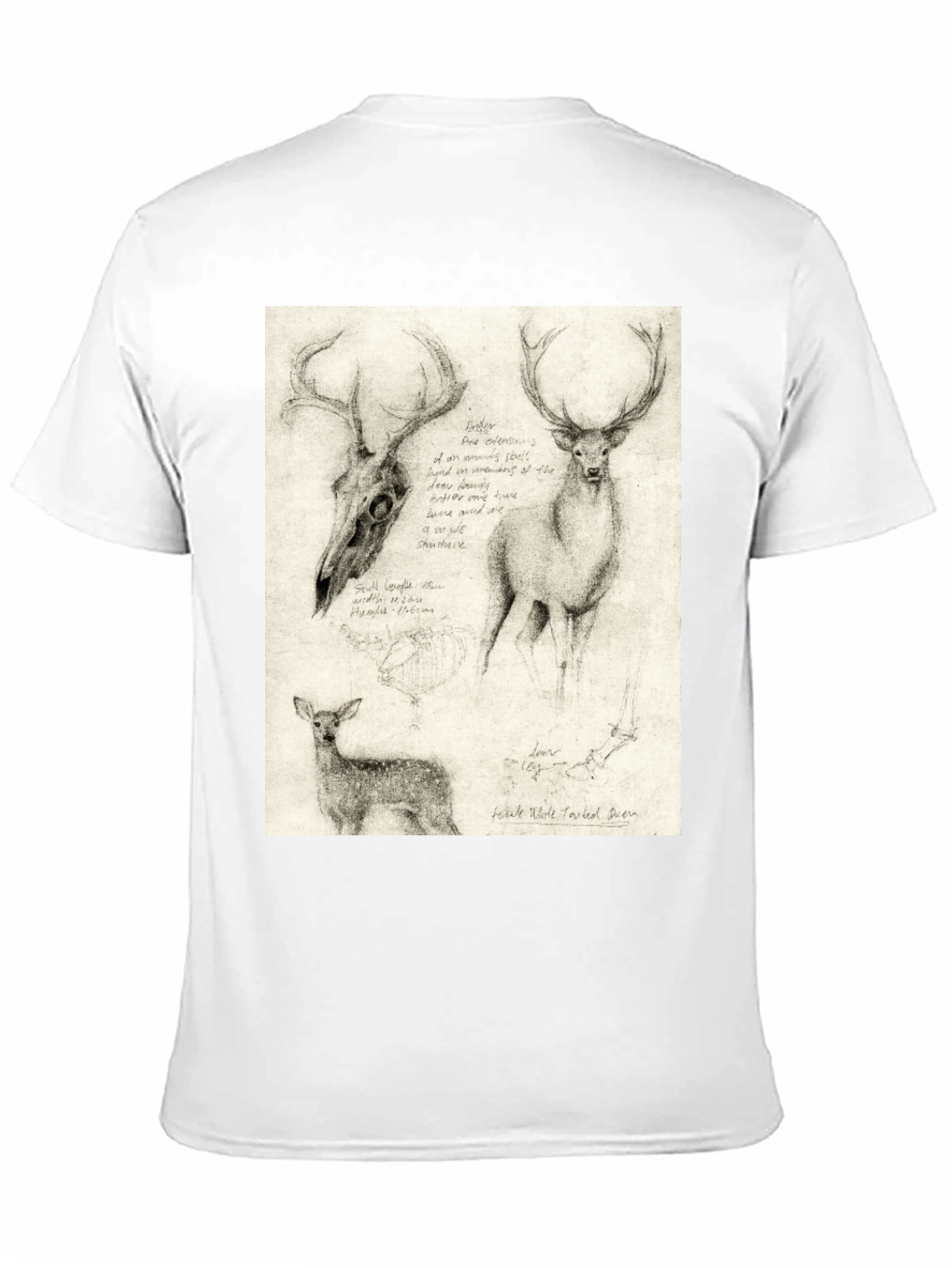 Deer Sketch T-Shirt | Wildlife Illustration Tee