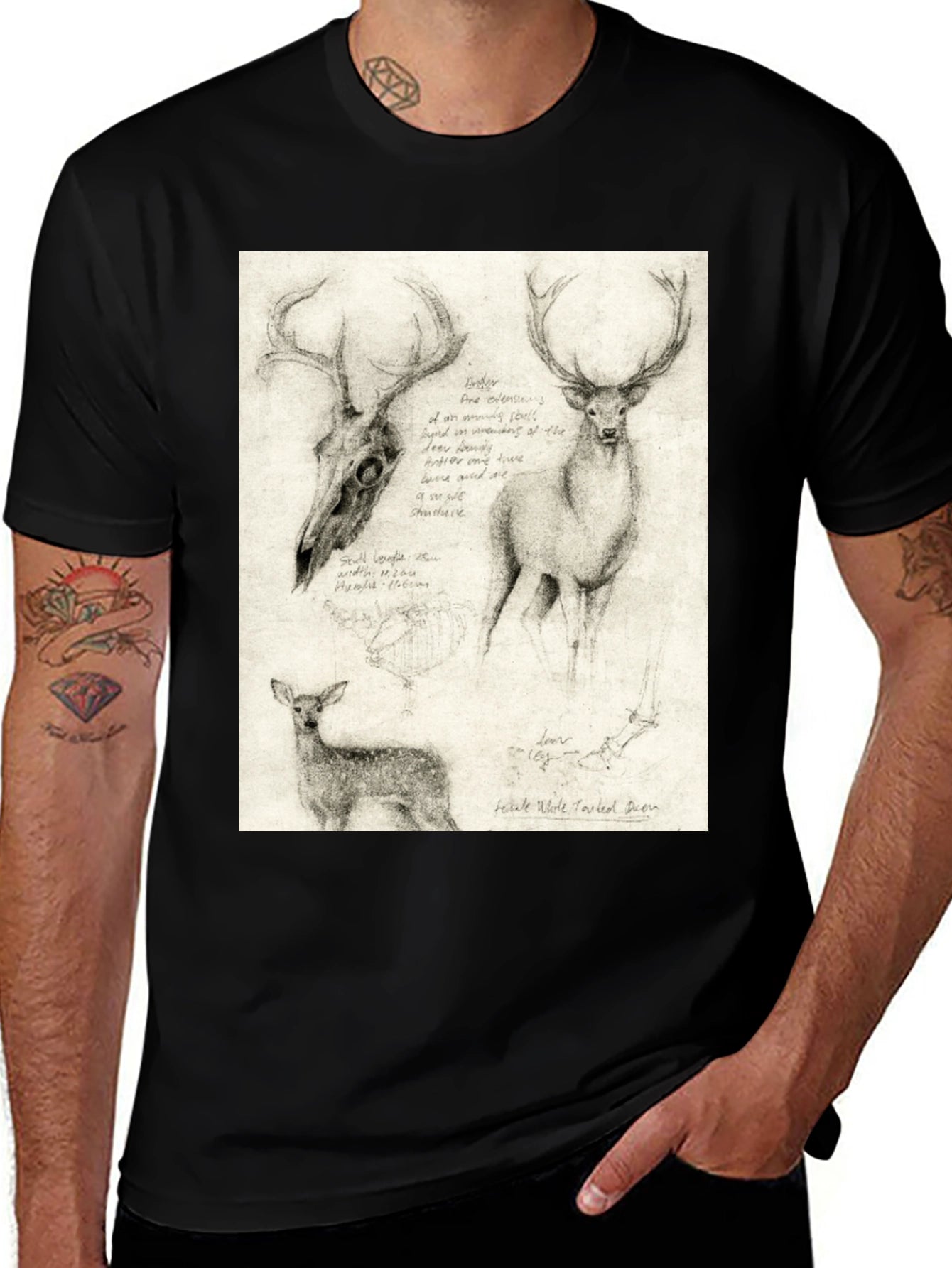 Deer Sketch T-Shirt | Wildlife Illustration Tee
