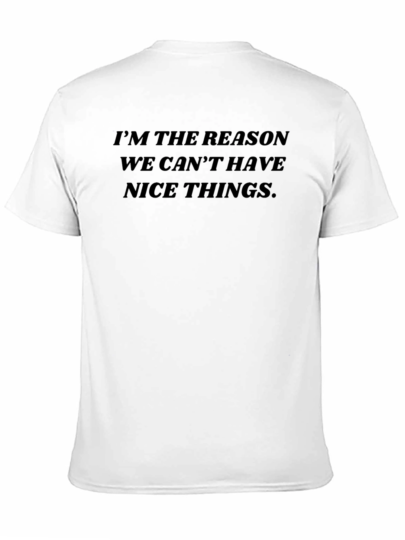 Im The Reason We Cant Have Nice Things T-Shirt