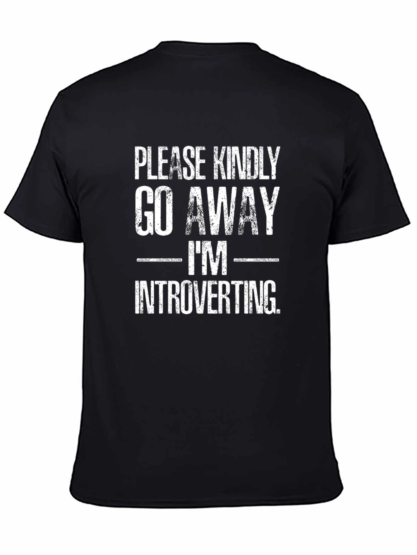 Introvert T-Shirt - Please Kindly Go Away