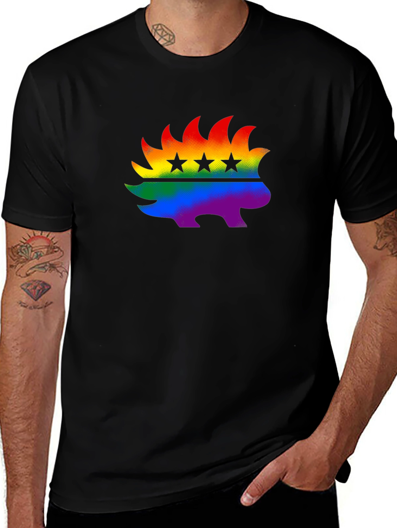 Rainbow Libertarian Porcupine T-Shirt