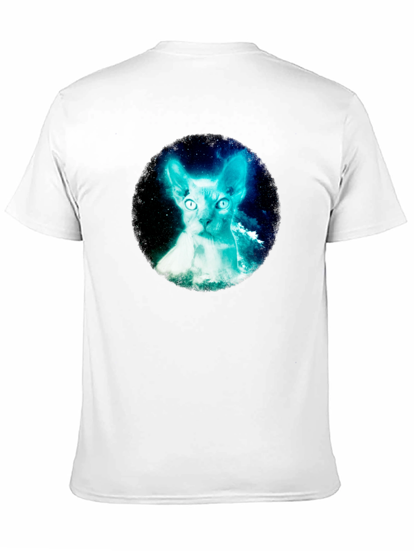Sphynx Cat Galaxy Graphic Black T-Shirt