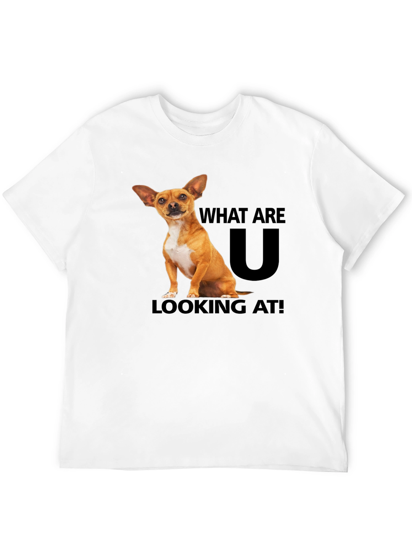 Dog T-Shirt: What Are You Looking At?