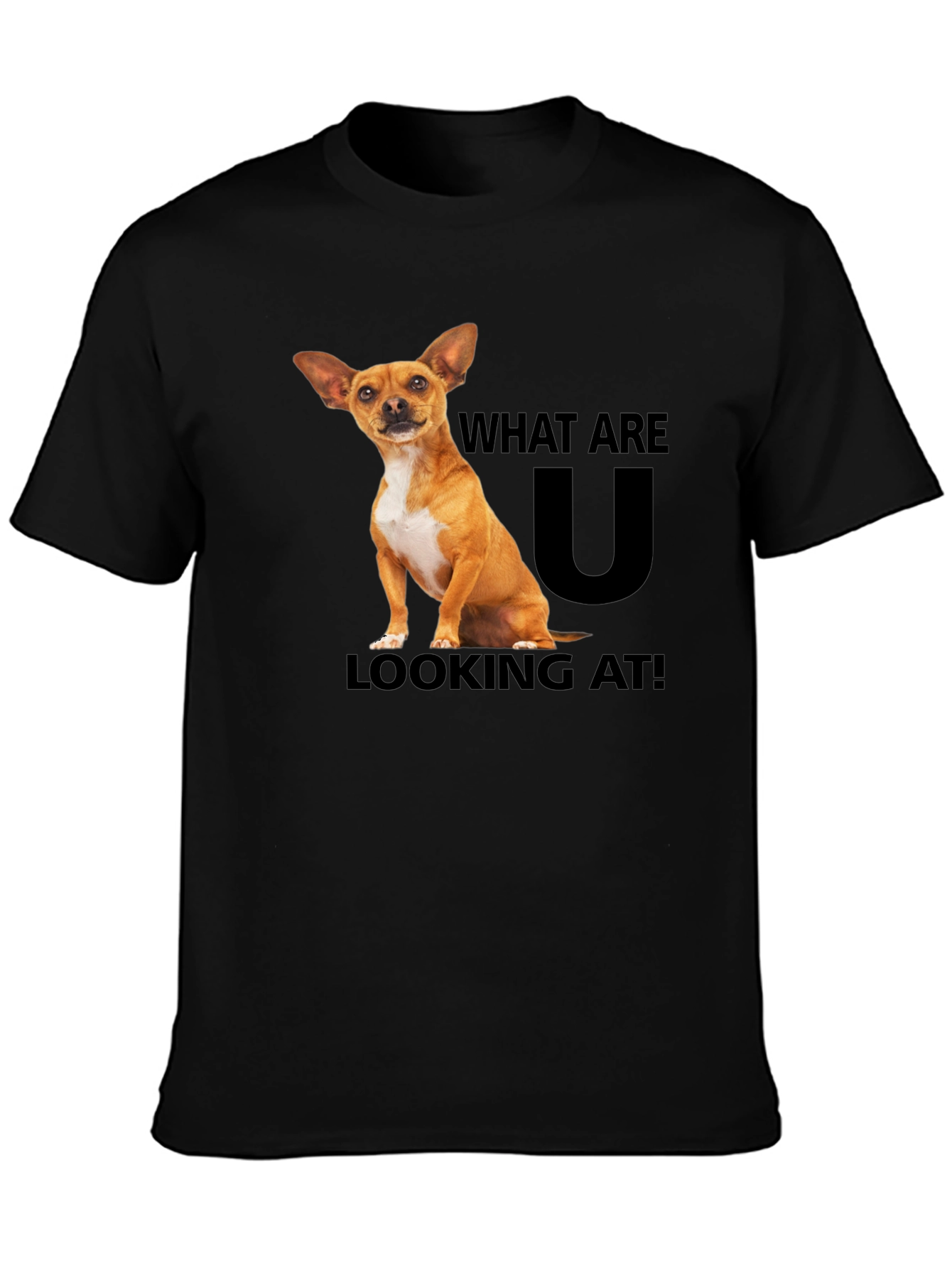 Dog T-Shirt: What Are You Looking At?