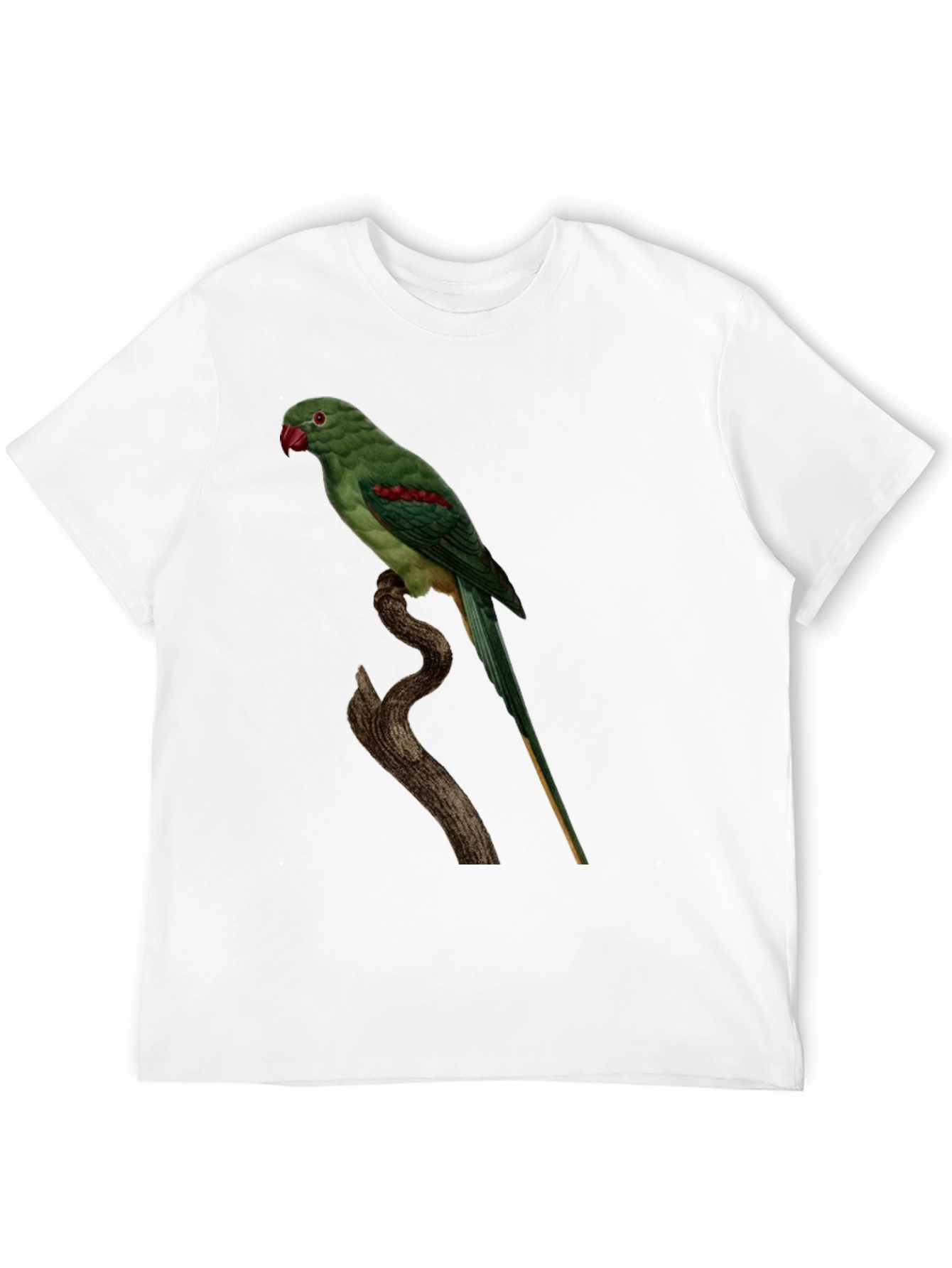 Parrot Graphic Tee - Cool Bird Lovers Shirt