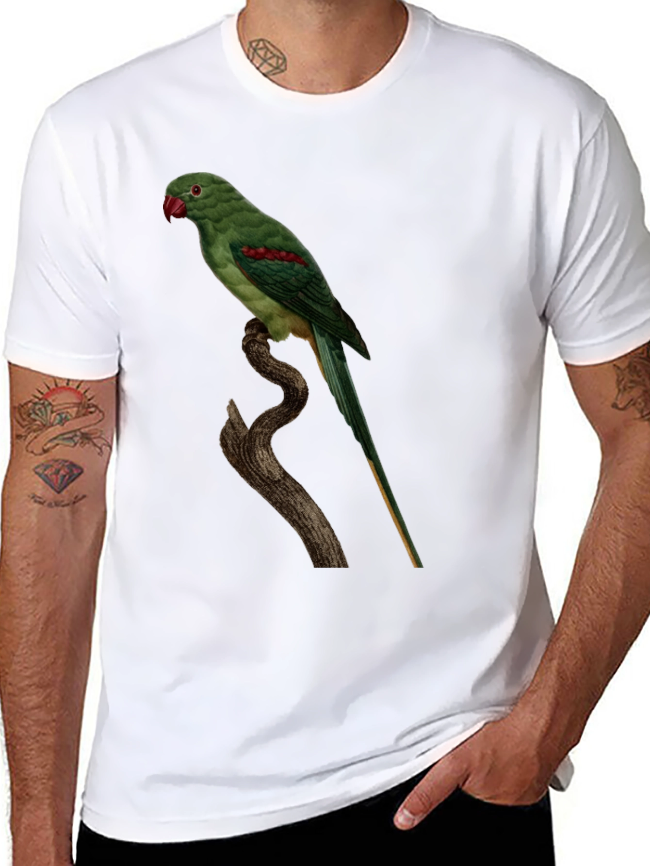 Parrot Graphic Tee - Cool Bird Lovers Shirt