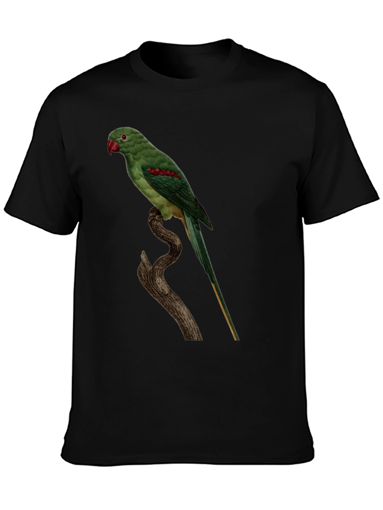 Parrot Graphic Tee - Cool Bird Lovers Shirt