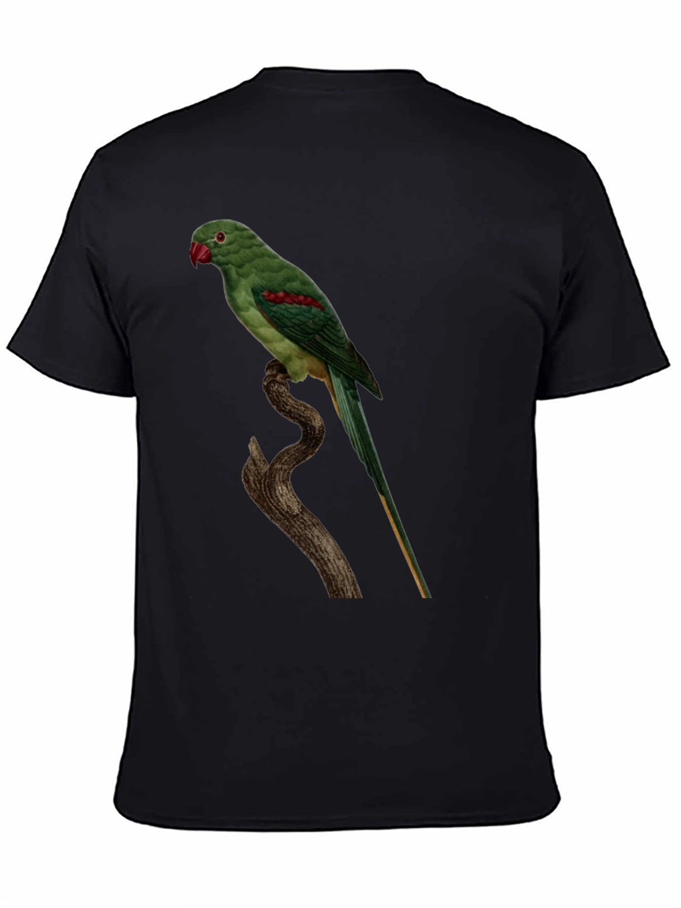 Parrot Graphic Tee - Cool Bird Lovers Shirt