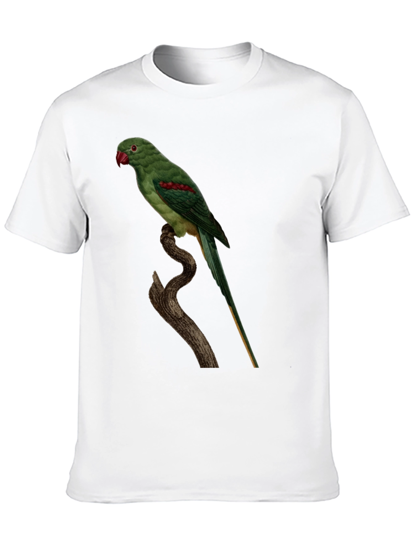 Parrot Graphic Tee - Cool Bird Lovers Shirt