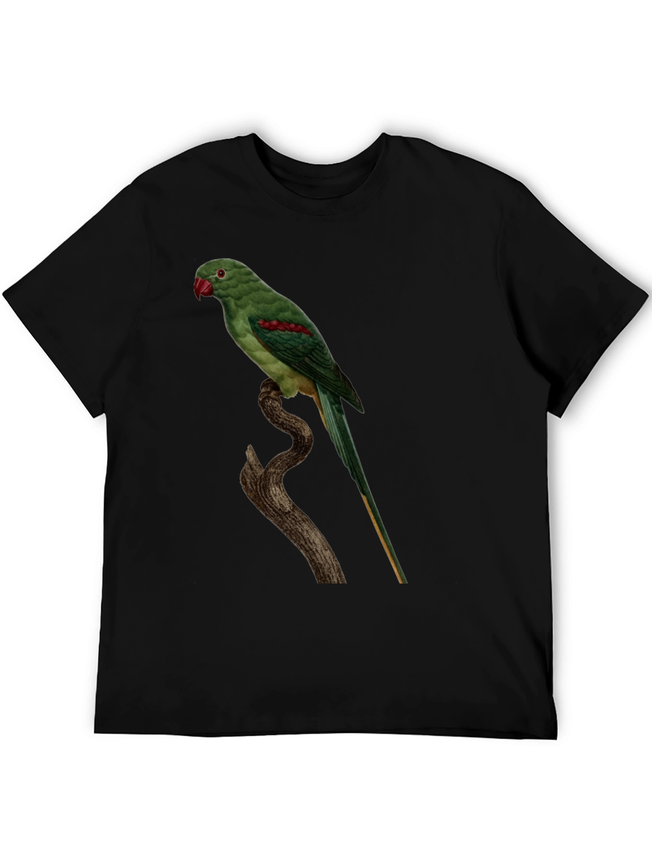 Parrot Graphic Tee - Cool Bird Lovers Shirt