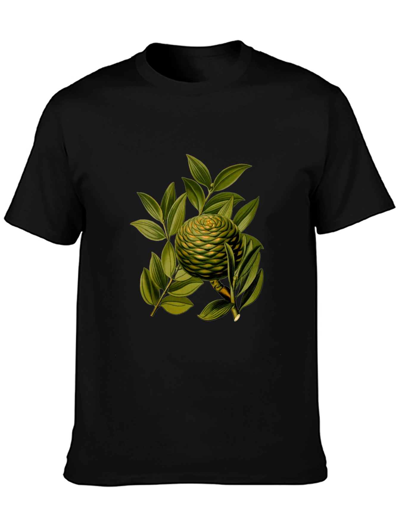 Botanical Fruit Graphic Tee - Soft Cotton Blend