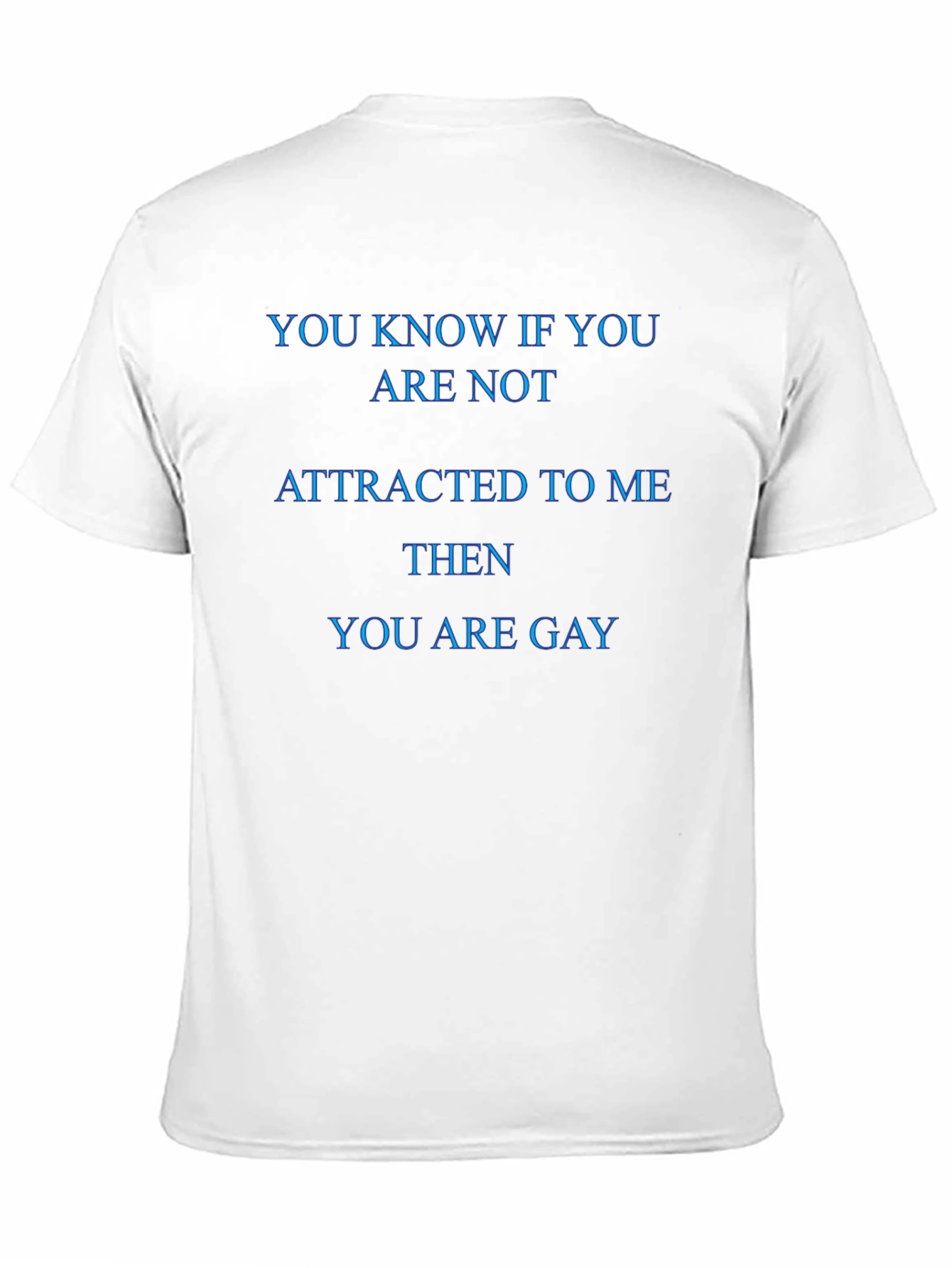 Humorous You Are Gay Slogan T-Shirt