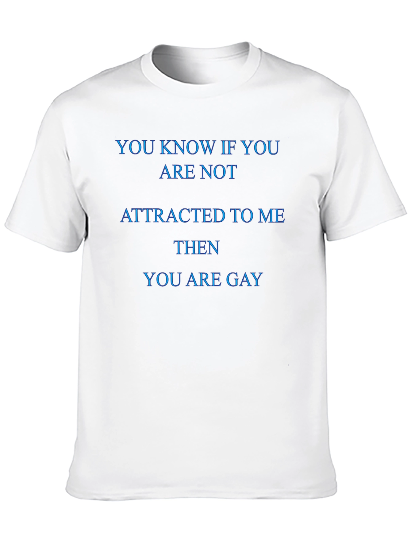 Humorous You Are Gay Slogan T-Shirt