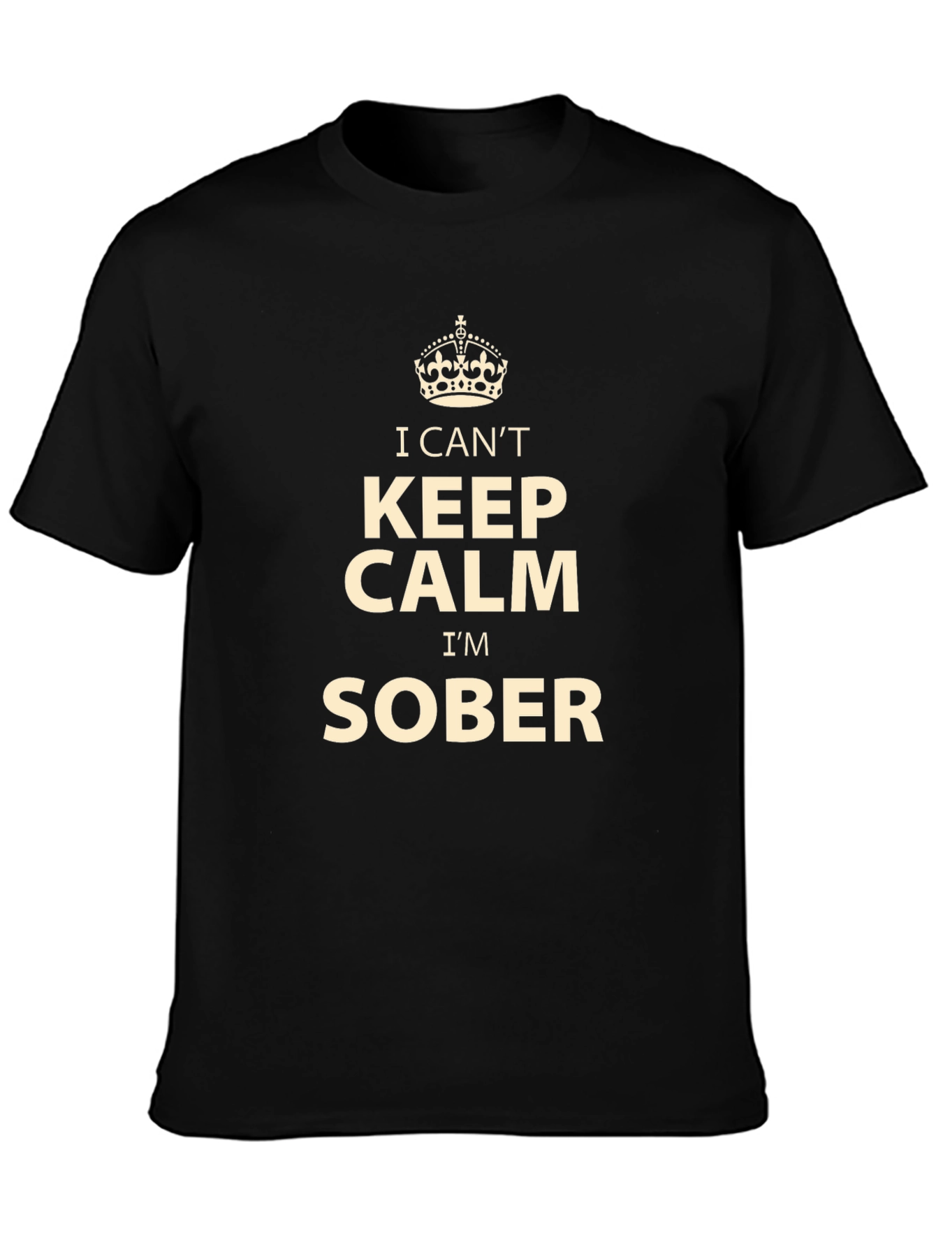I Cant Keep Calm Im Sober T-Shirt