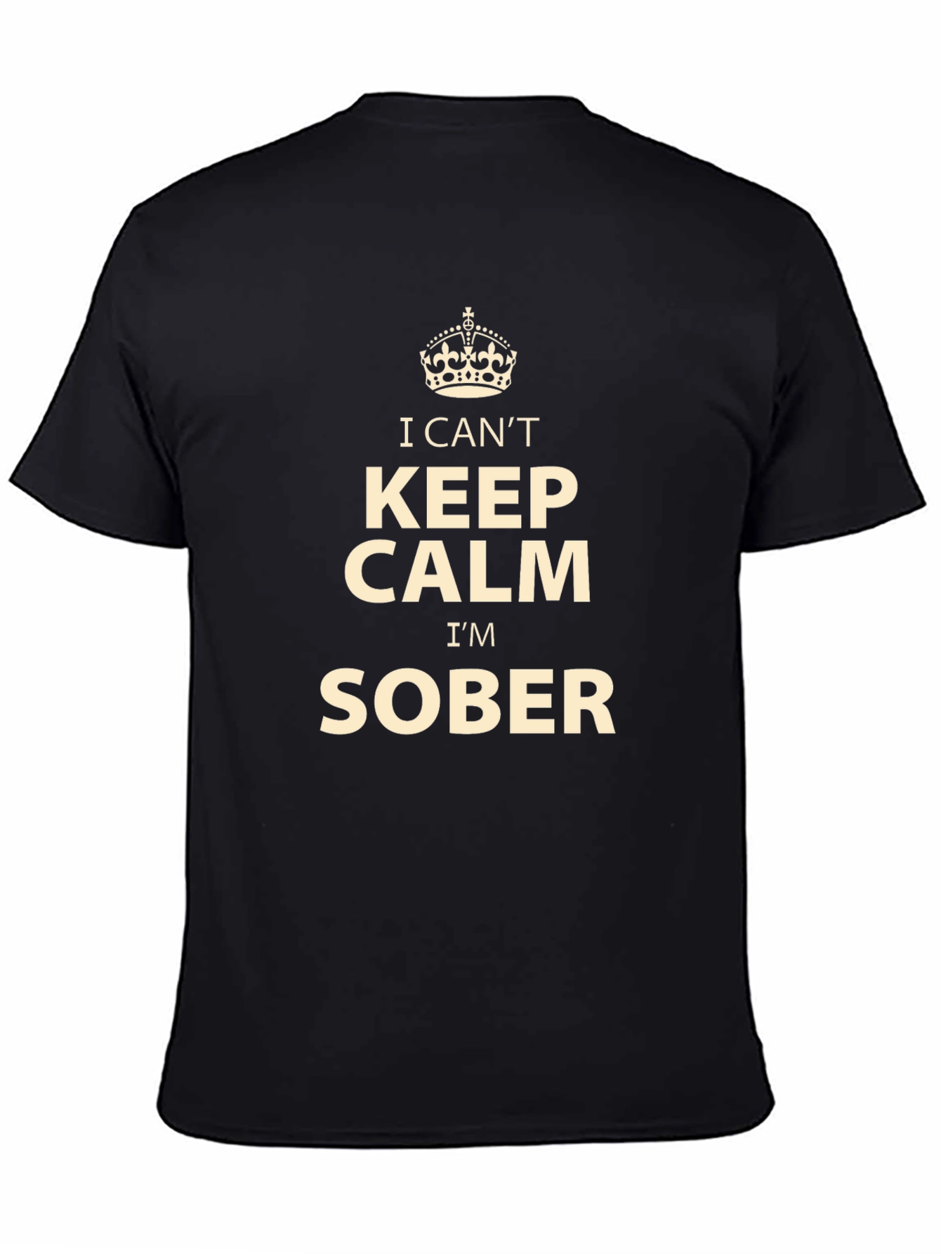 I Cant Keep Calm Im Sober T-Shirt