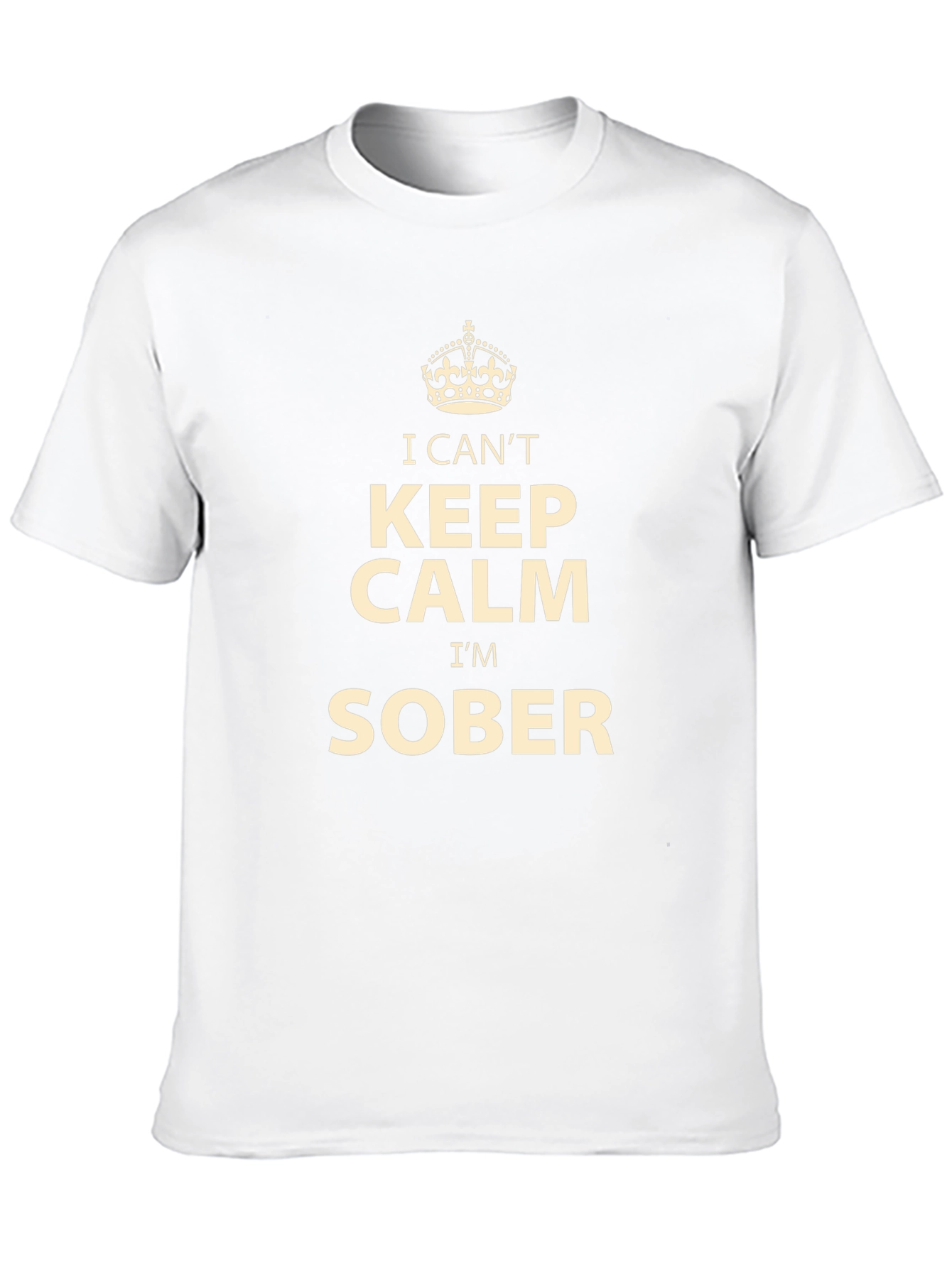 I Cant Keep Calm Im Sober T-Shirt