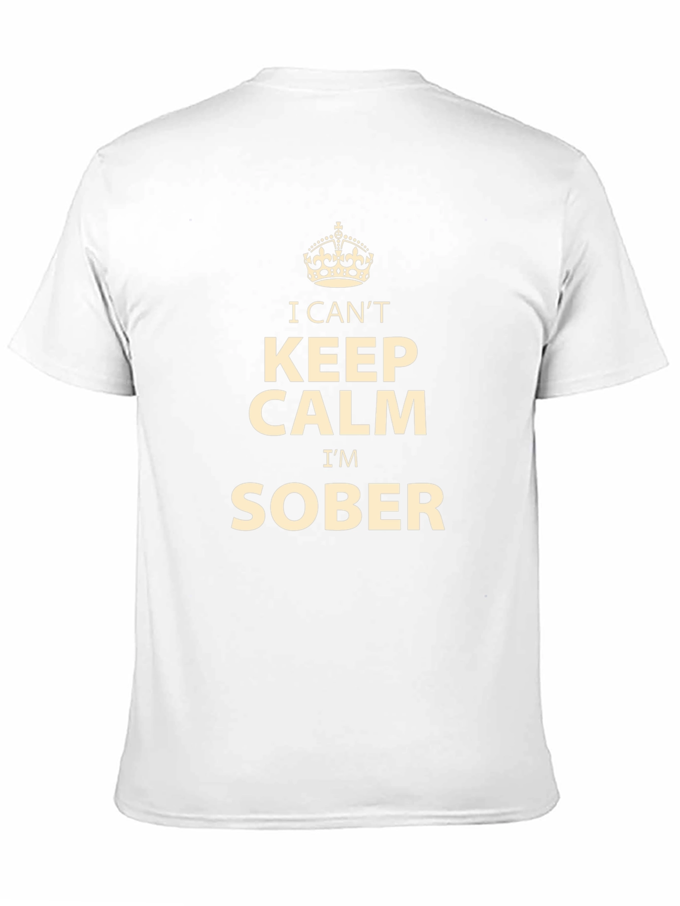 I Cant Keep Calm Im Sober T-Shirt