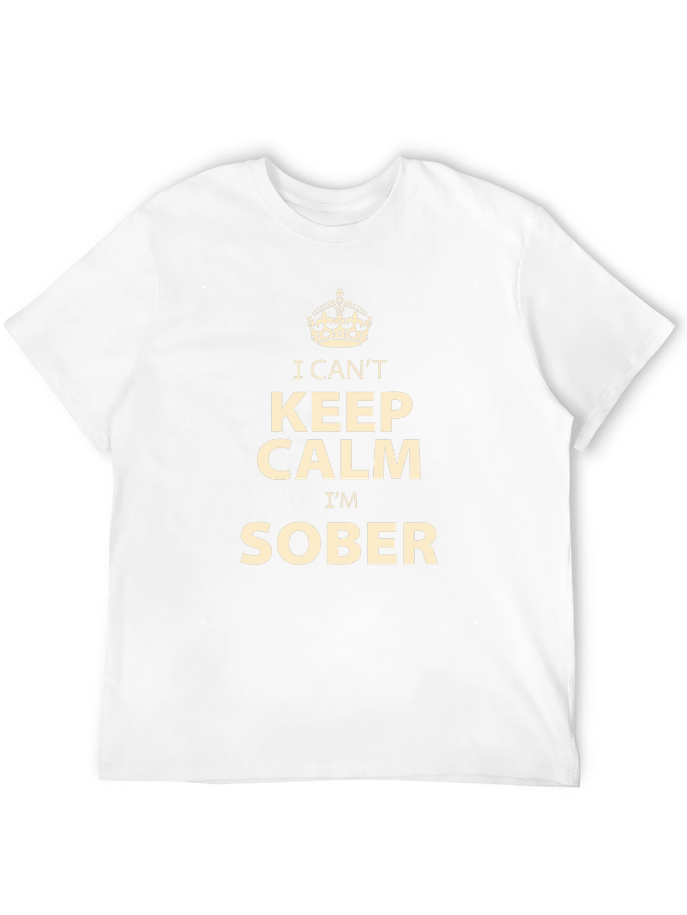 I Cant Keep Calm Im Sober T-Shirt