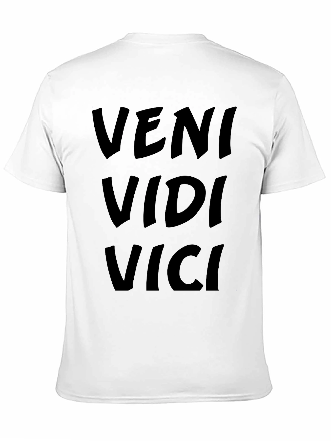 Veni Vidi Vici Graphic Tee