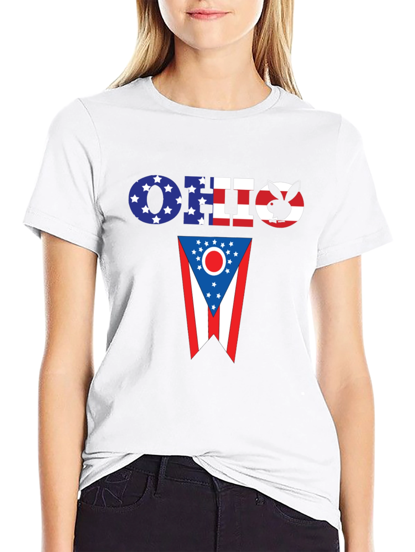 Ohio Flag Novelty T-Shirt