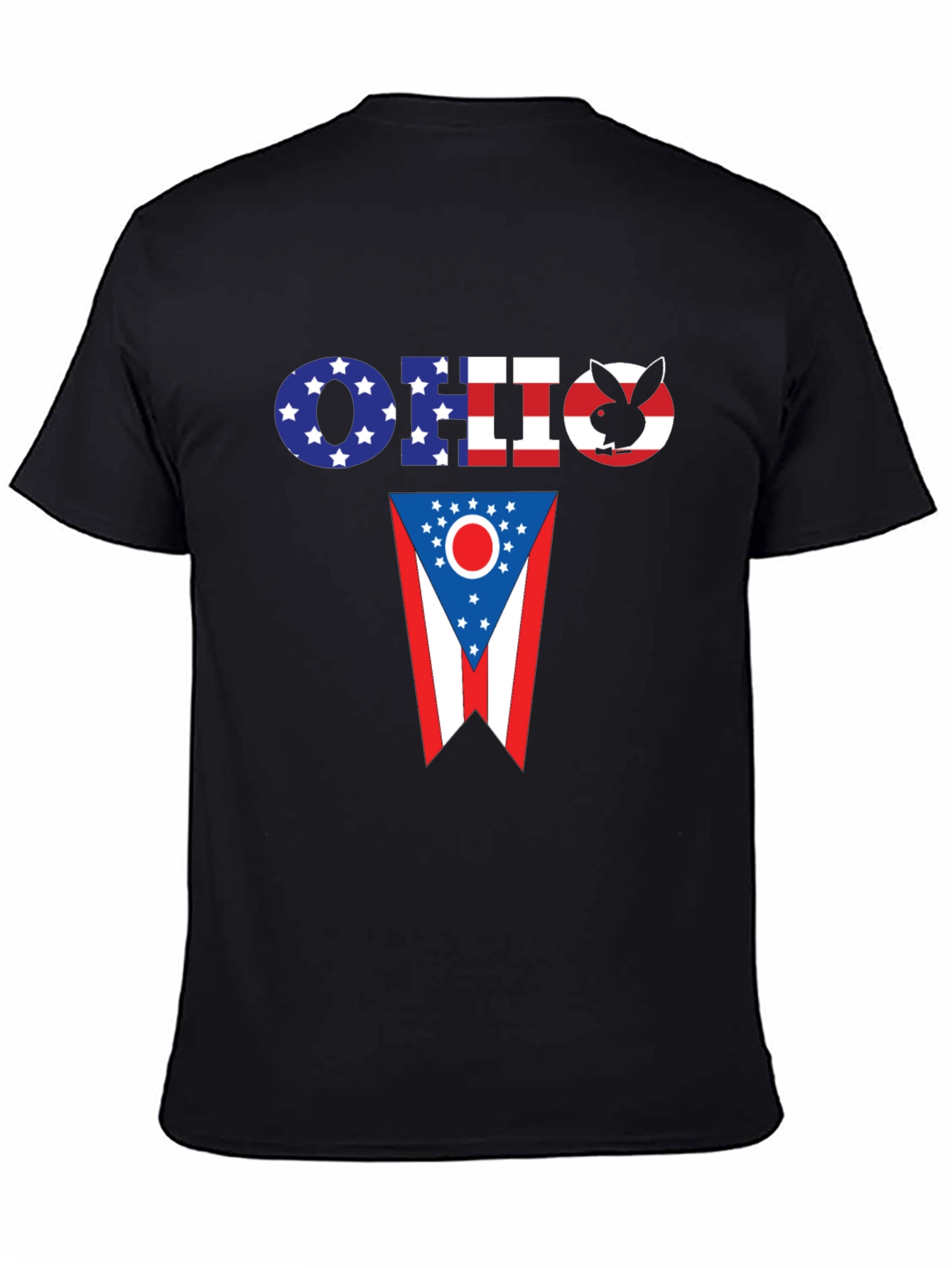 Ohio Flag Novelty T-Shirt