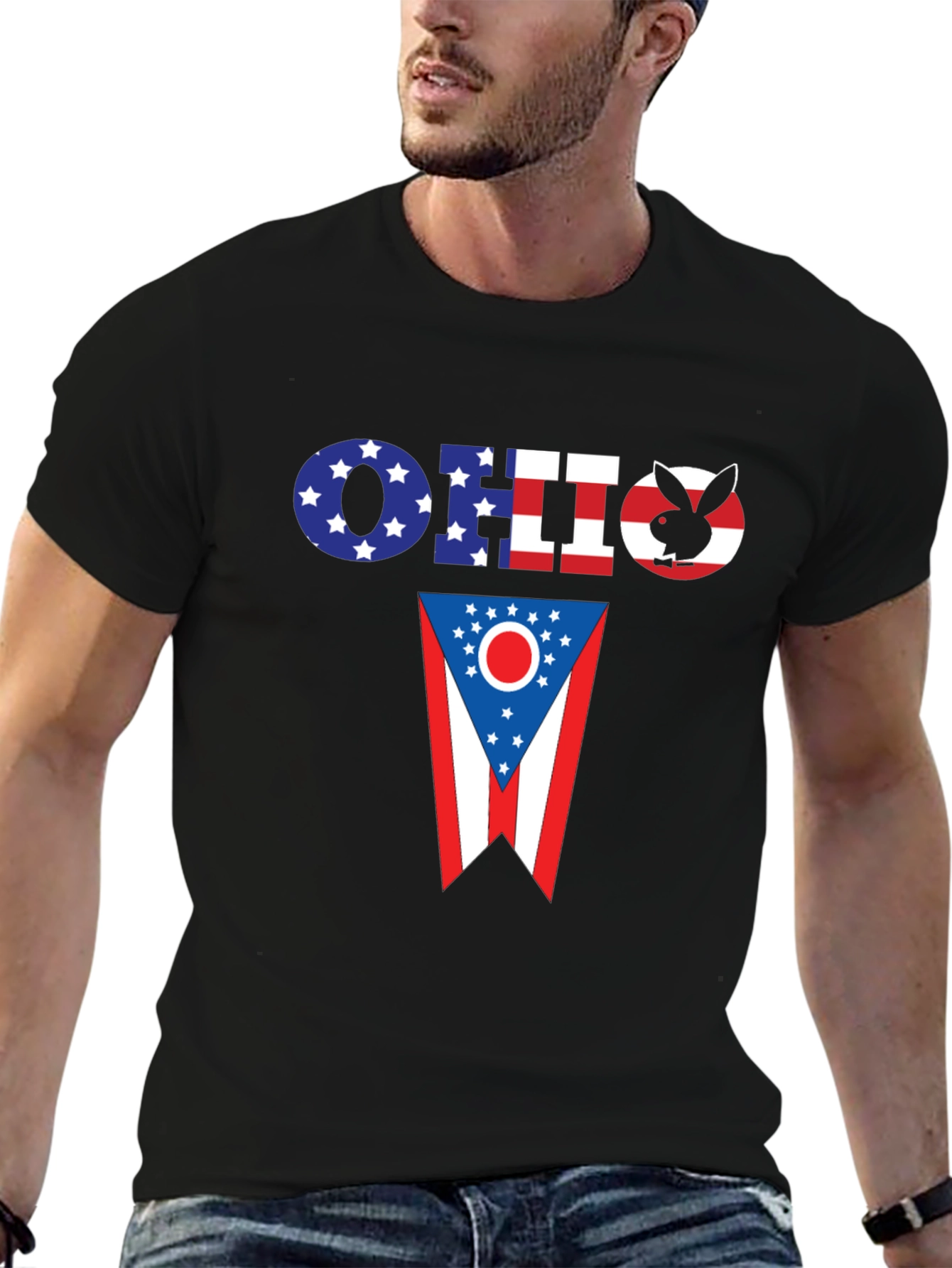 Ohio Flag Novelty T-Shirt