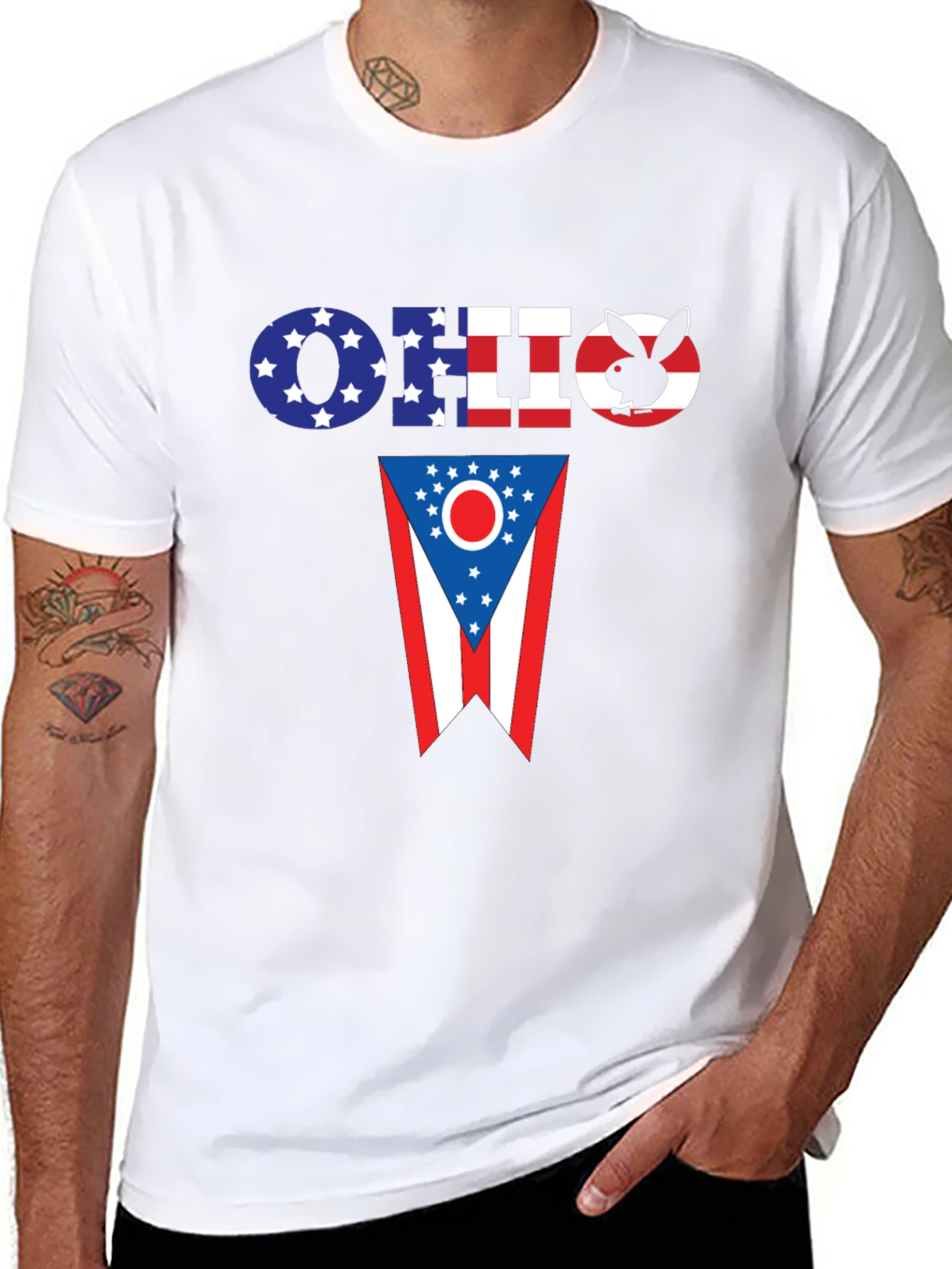 Ohio Flag Novelty T-Shirt