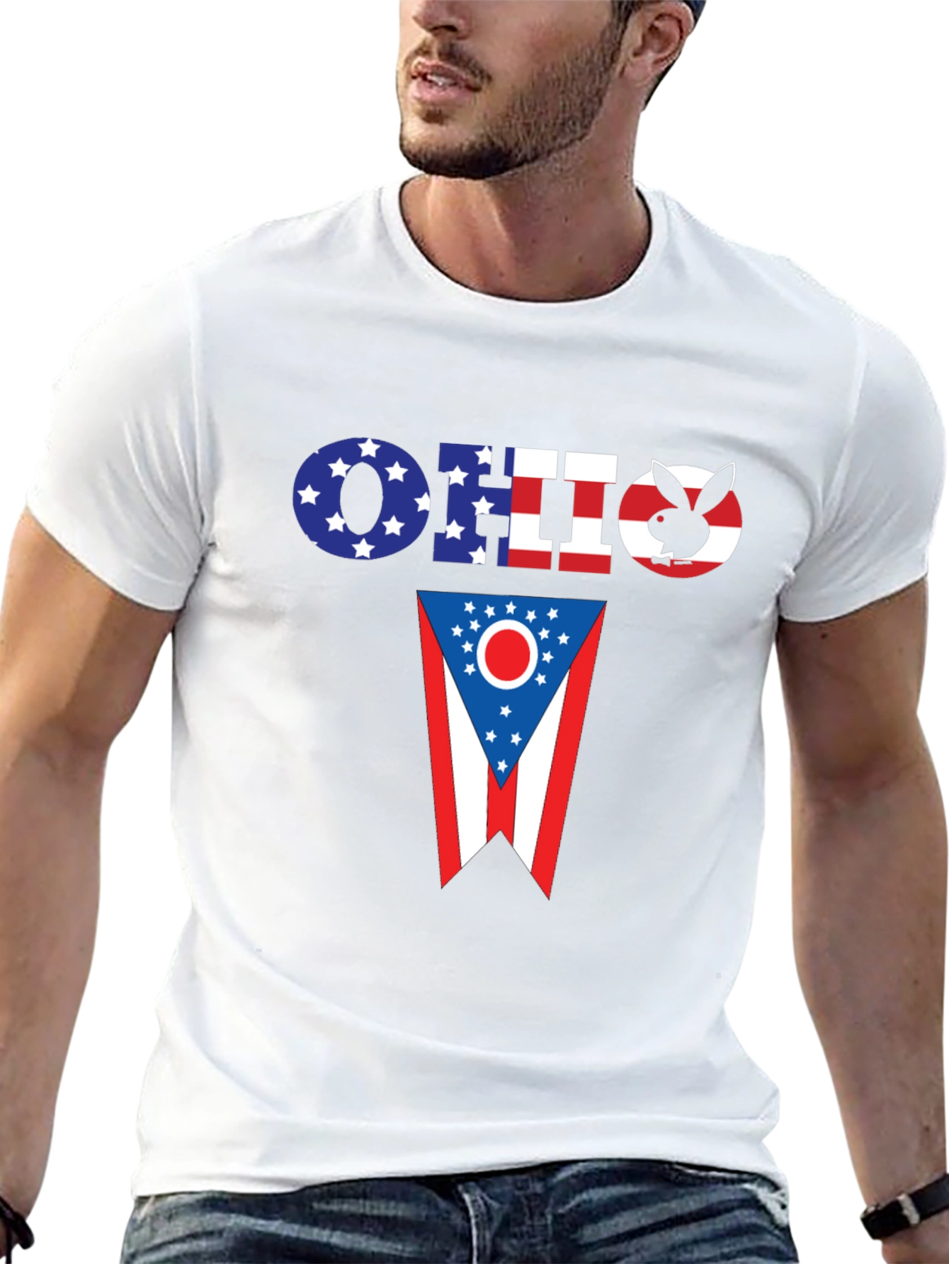 Ohio Flag Novelty T-Shirt