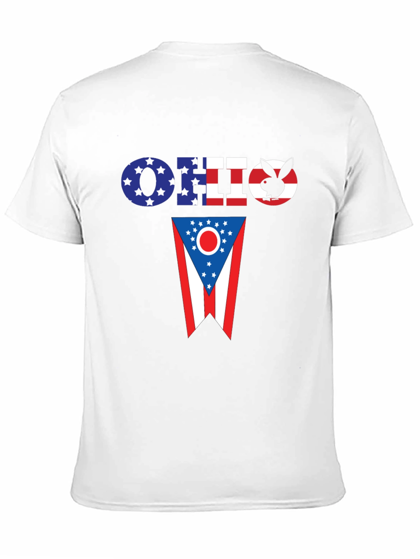 Ohio Flag Novelty T-Shirt